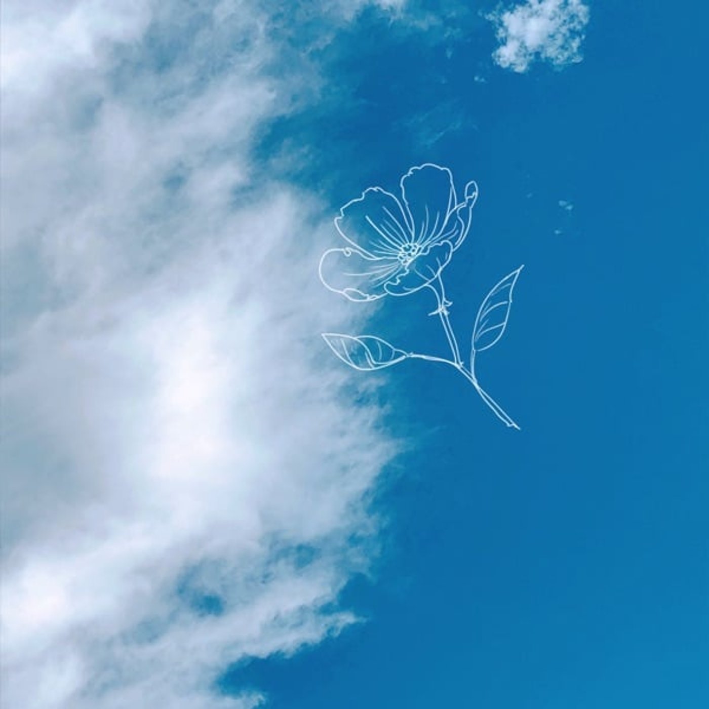 今度君に会ったら　⭐️KANちゃんがいなくなった日⭐️