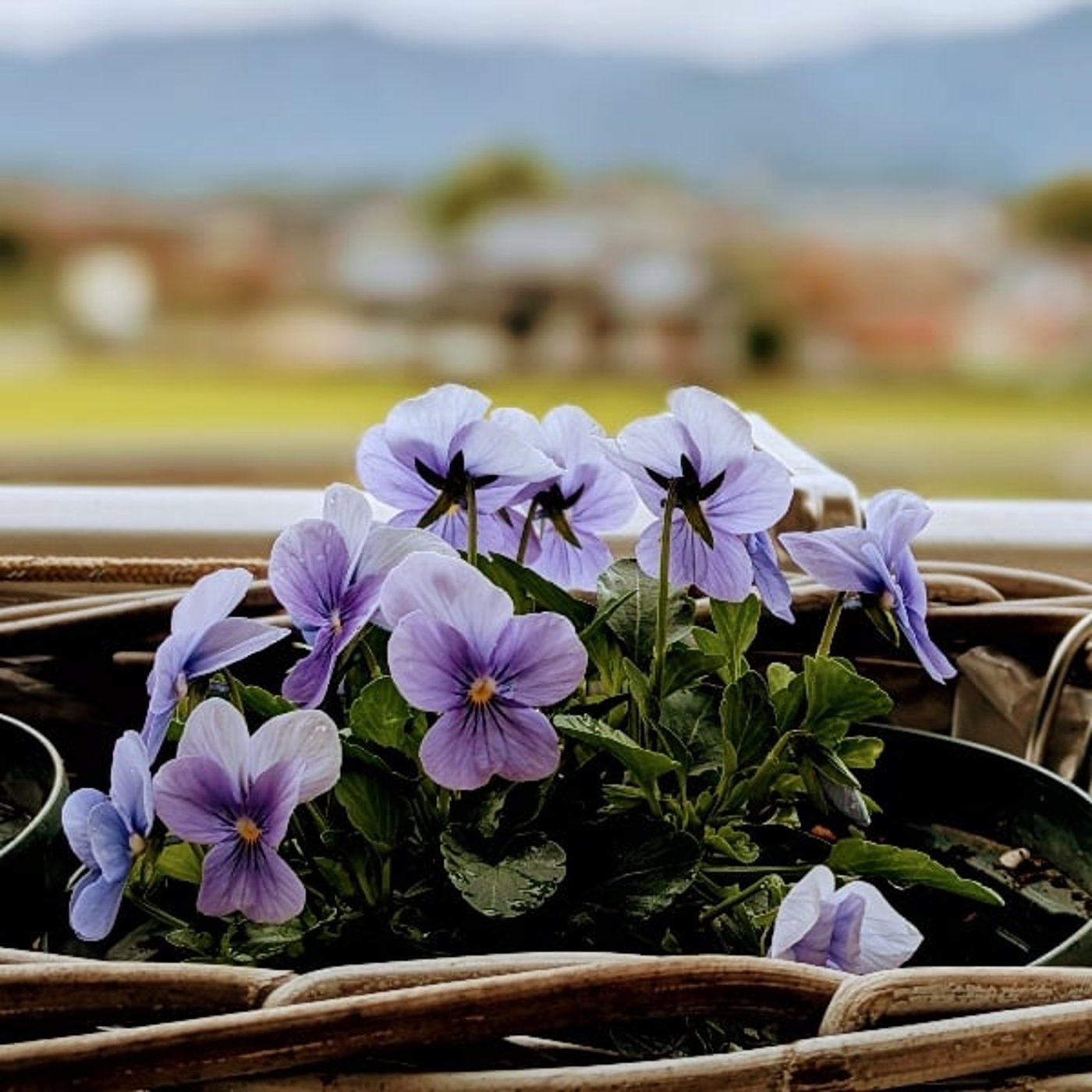 足りない心に🍒心が満たされる方法。 足りない心に🍒心が満たされる方法。