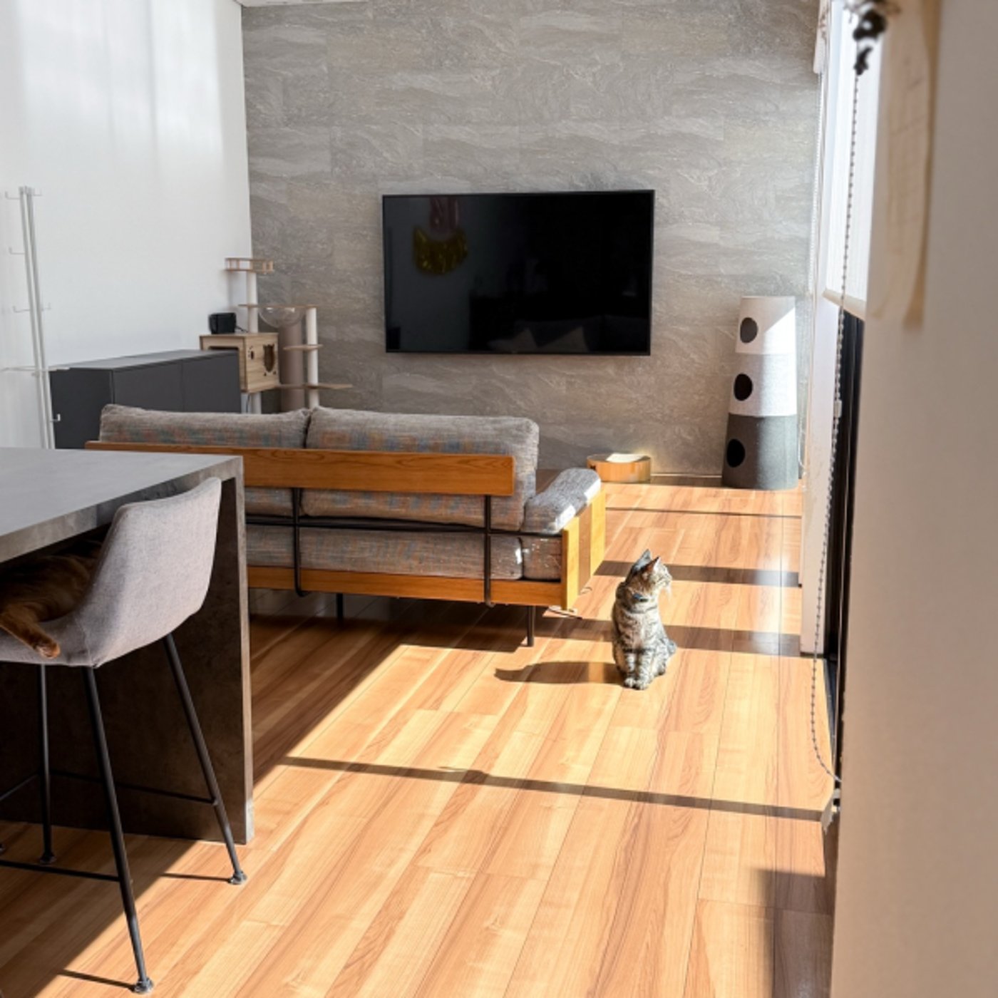 みんなでやること宣言ライブ📝｜もりさんSNS相談室