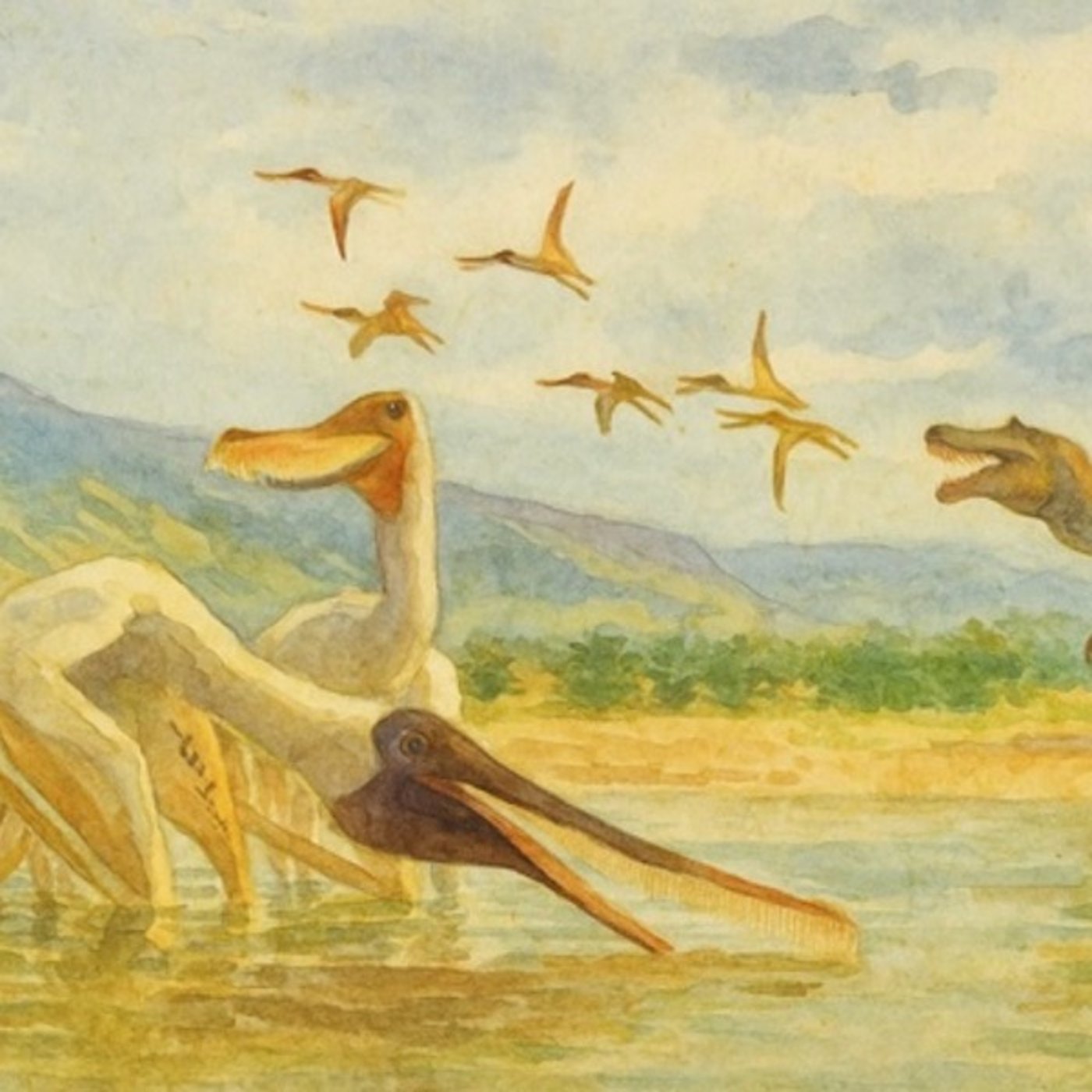 その翼竜は海を濾していた―捕食者の吐き戻しが語る進化の系譜