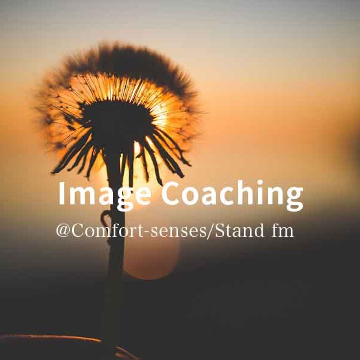 【ImageCoaching Vol.0】イメージングとは episode artwork