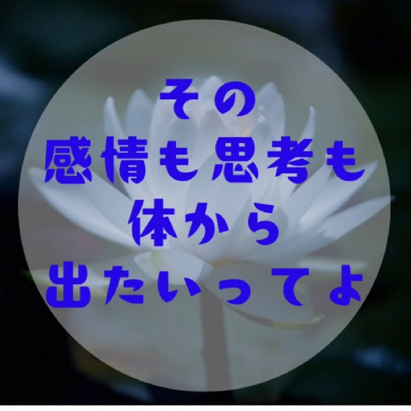#025 【自分をただ見守る勇気〜自分の感覚へのダメ出しやめると流れは最善〜】 episode artwork