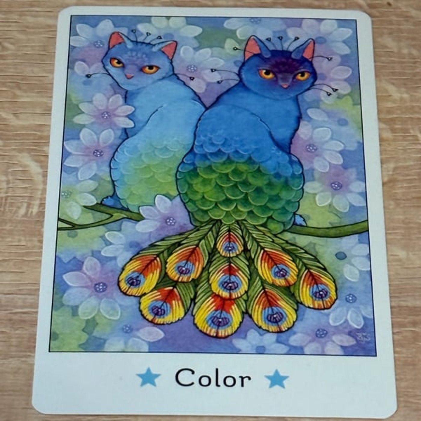 762【猫オラクルカード】11/17〜11/23のメッセージ『色』 762【猫オラクルカード】11/17〜11/23のメッセージ『色』