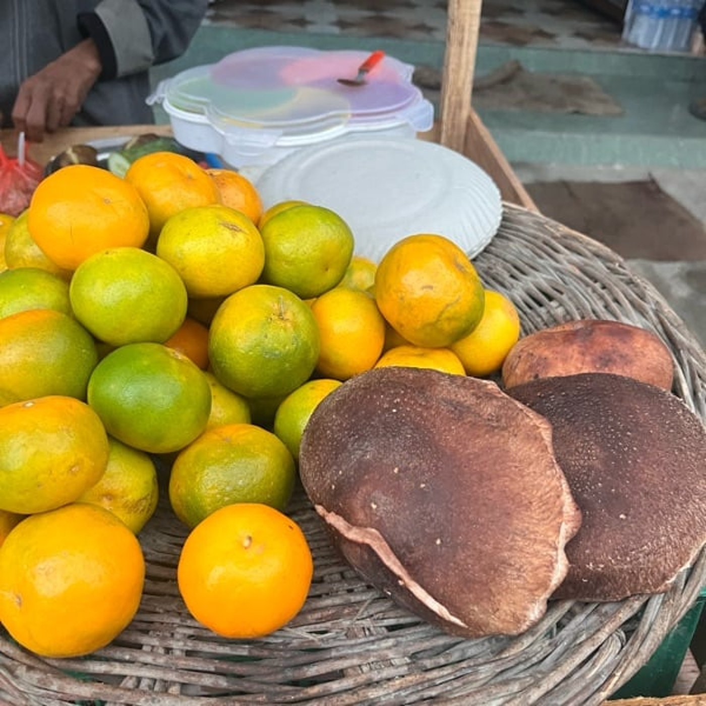 【#61 🇨🇲🇳🇵お久しぶりのゆるっとトーク】