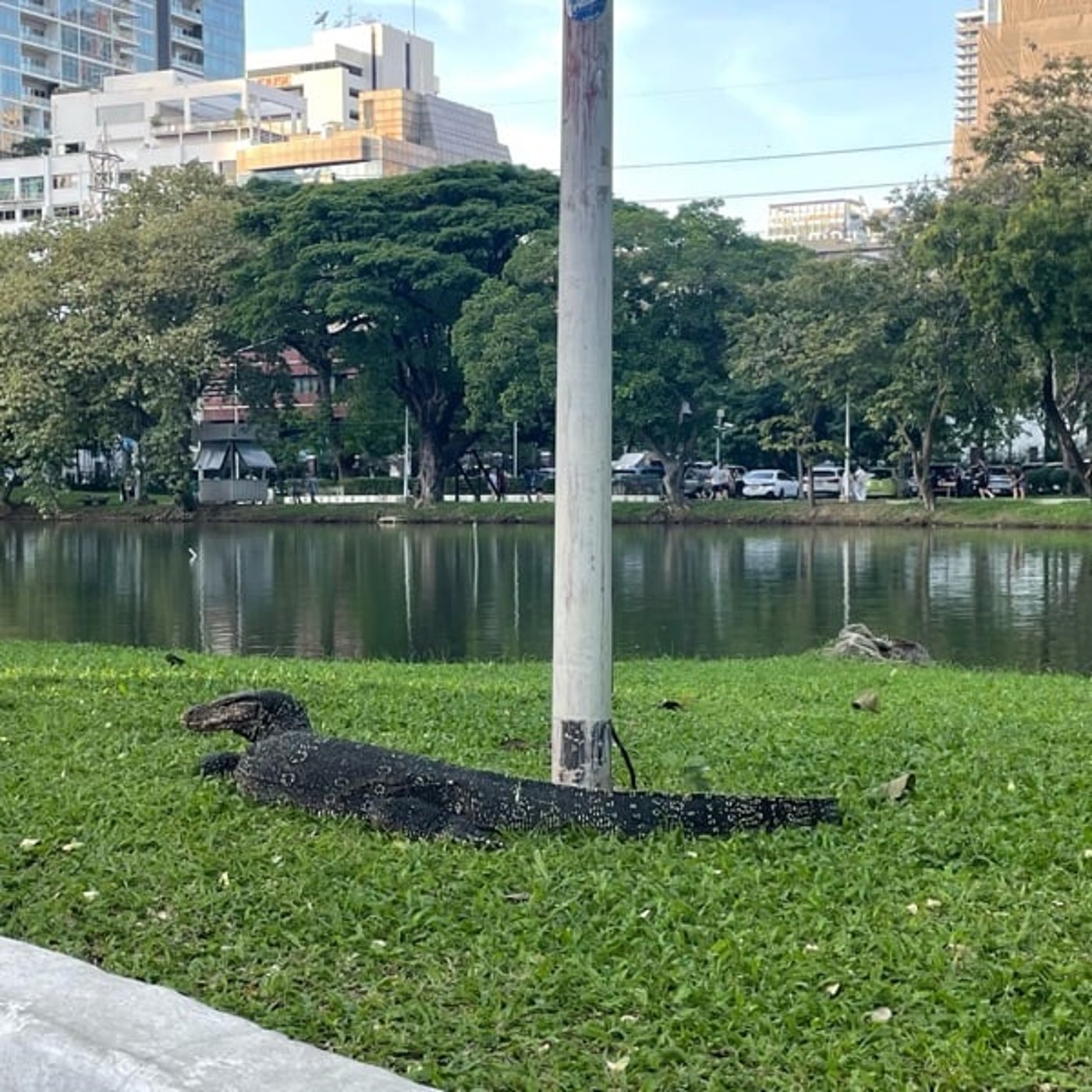 99/トカゲ、ピアス、チームミーティング