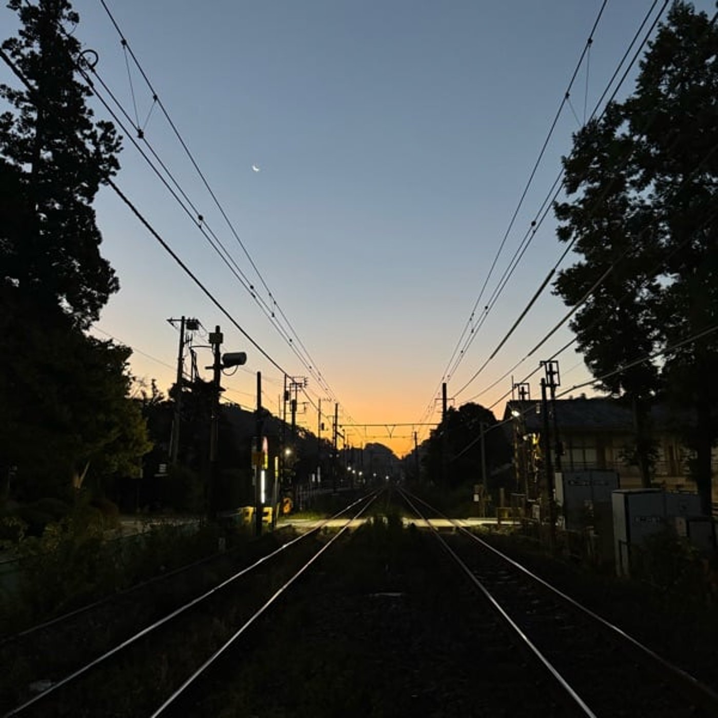 現実が正解だ! 現実が正解だ!