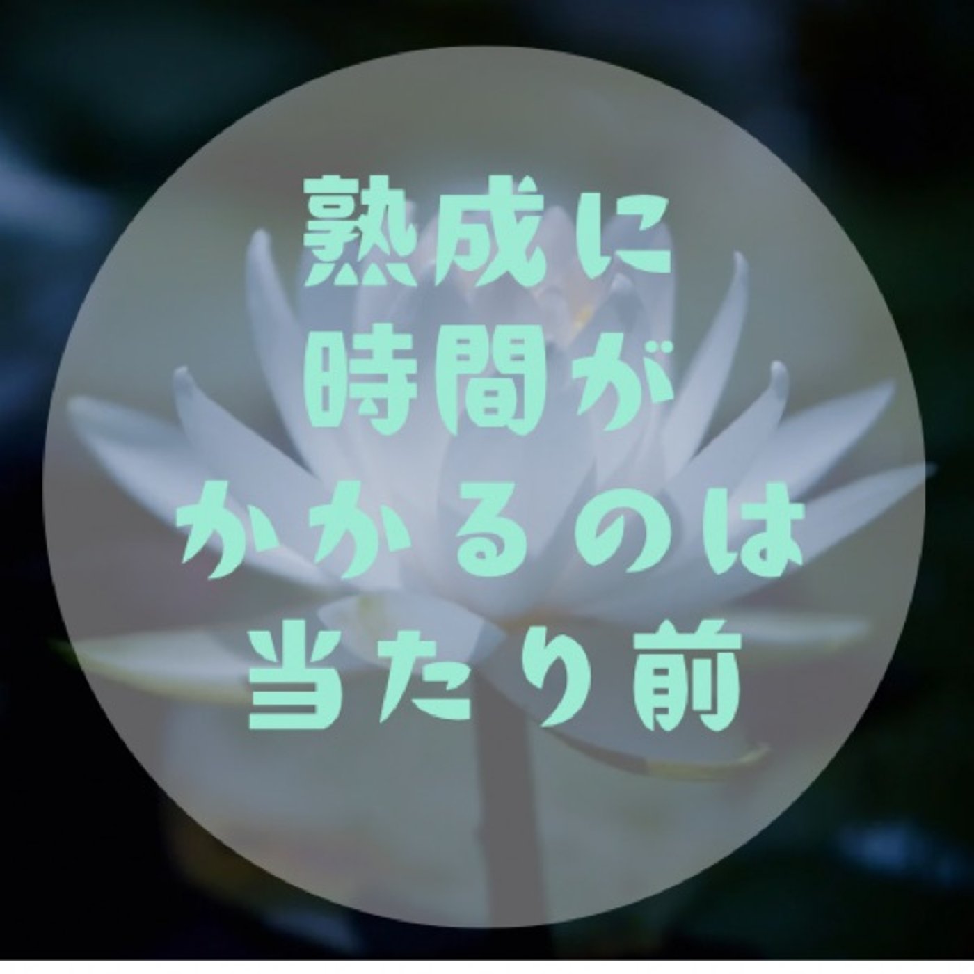 #028 【一点凝視で自分の内側に入れ！〜自分から湧くものを見つける〜】 episode artwork