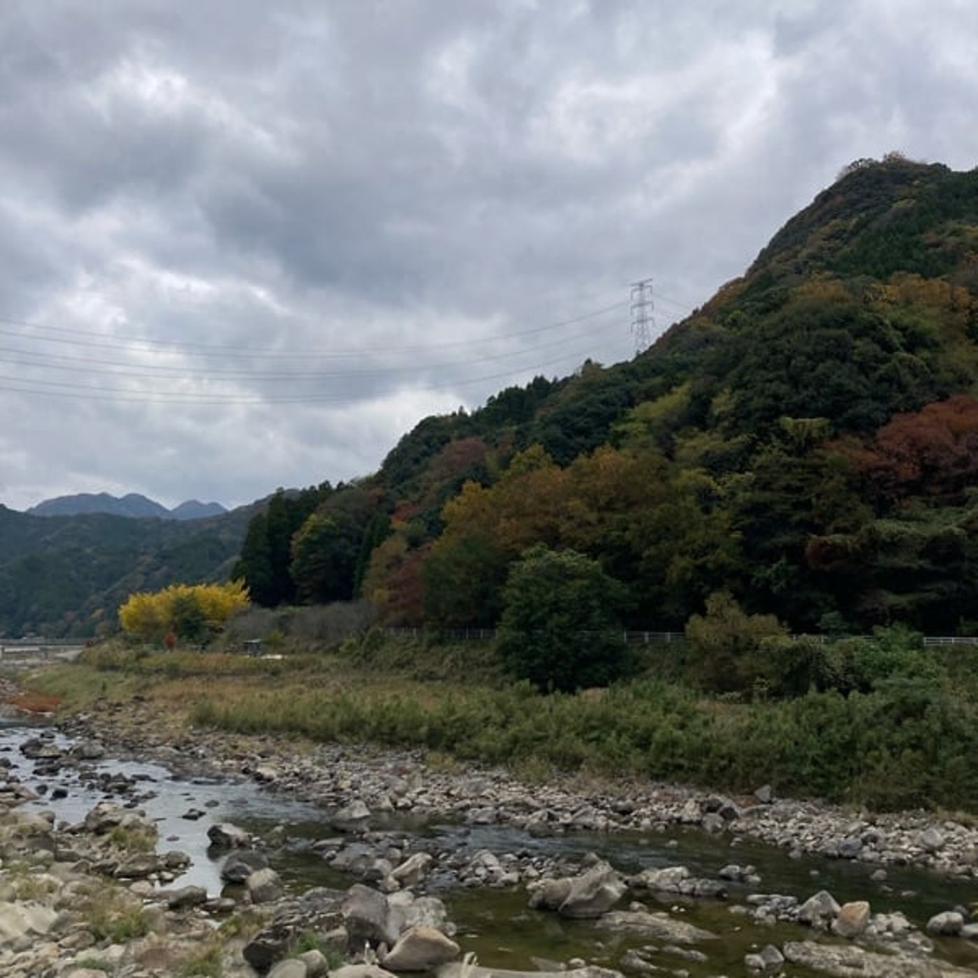 #193 耶馬溪の紅葉・イベント通信！11月19日版