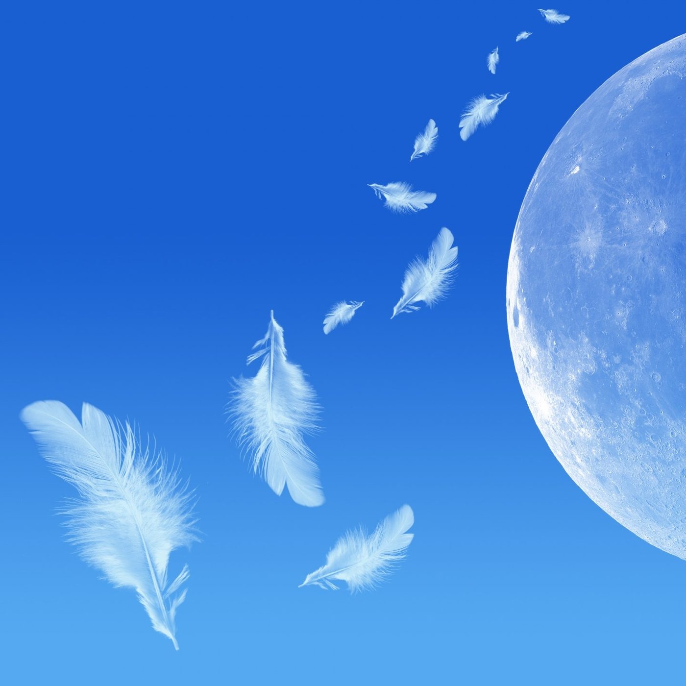 #771　心を整える朝のヒーリングピアノ　リアル演奏会に向けて一歩踏み出しました