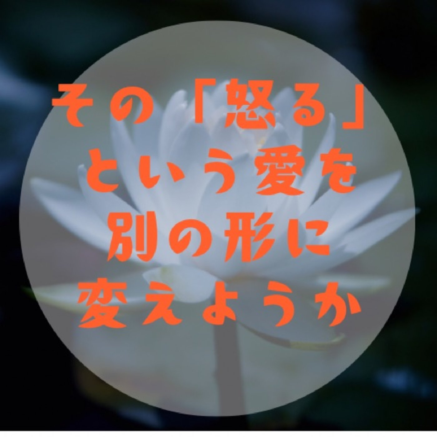 #031 【もう怒らなくていい〜内臓や目に見えない部分を知って労る〜】 episode artwork