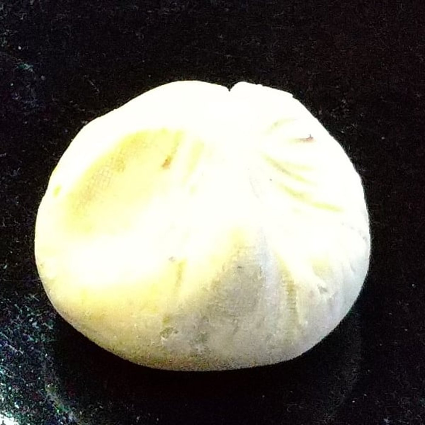 栗きんとん251123