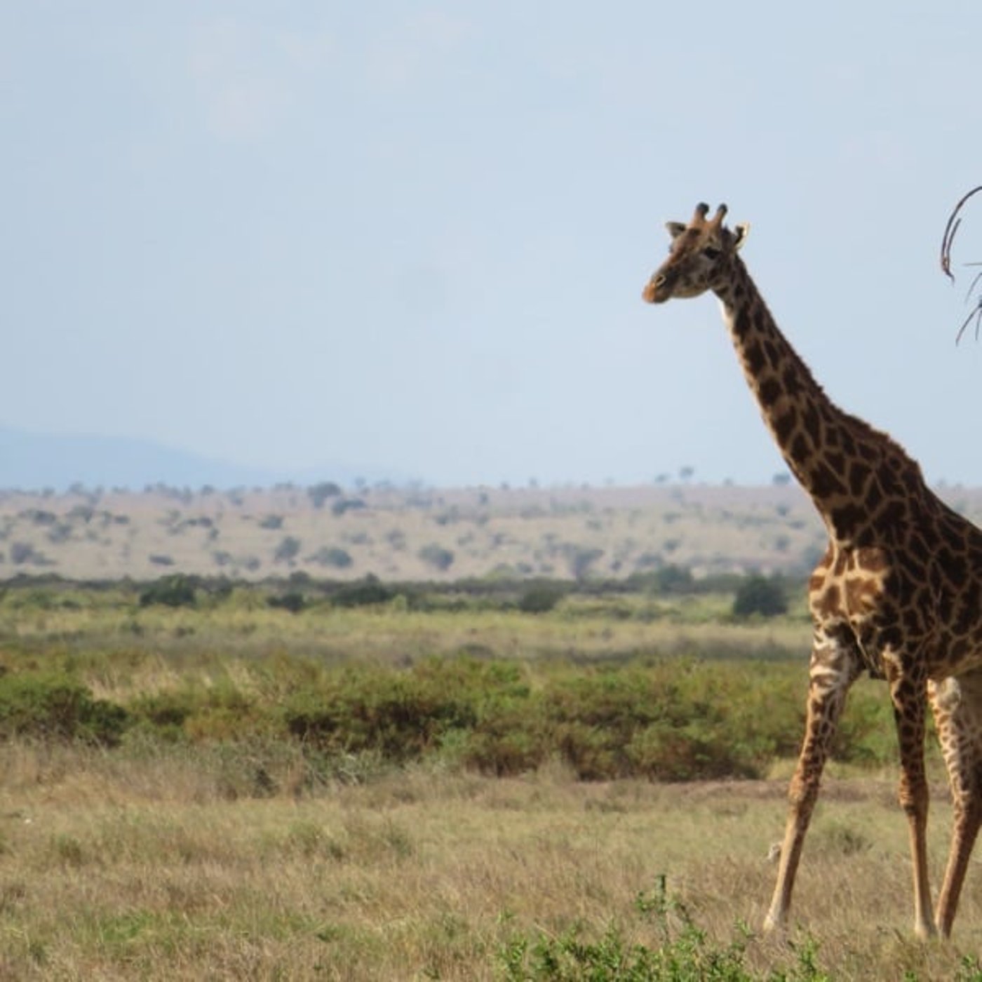 その気持ちとても分かります
