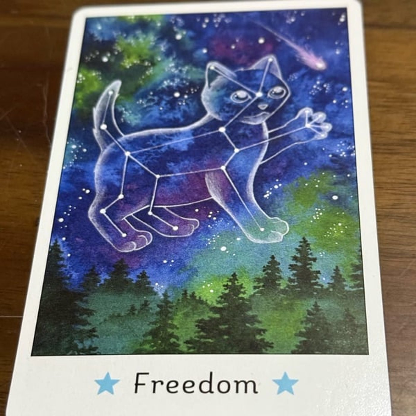 764【猫オラクルカード】11/24〜11/30のメッセージ『自由』 764【猫オラクルカード】11/24〜11/30のメッセージ『自由』