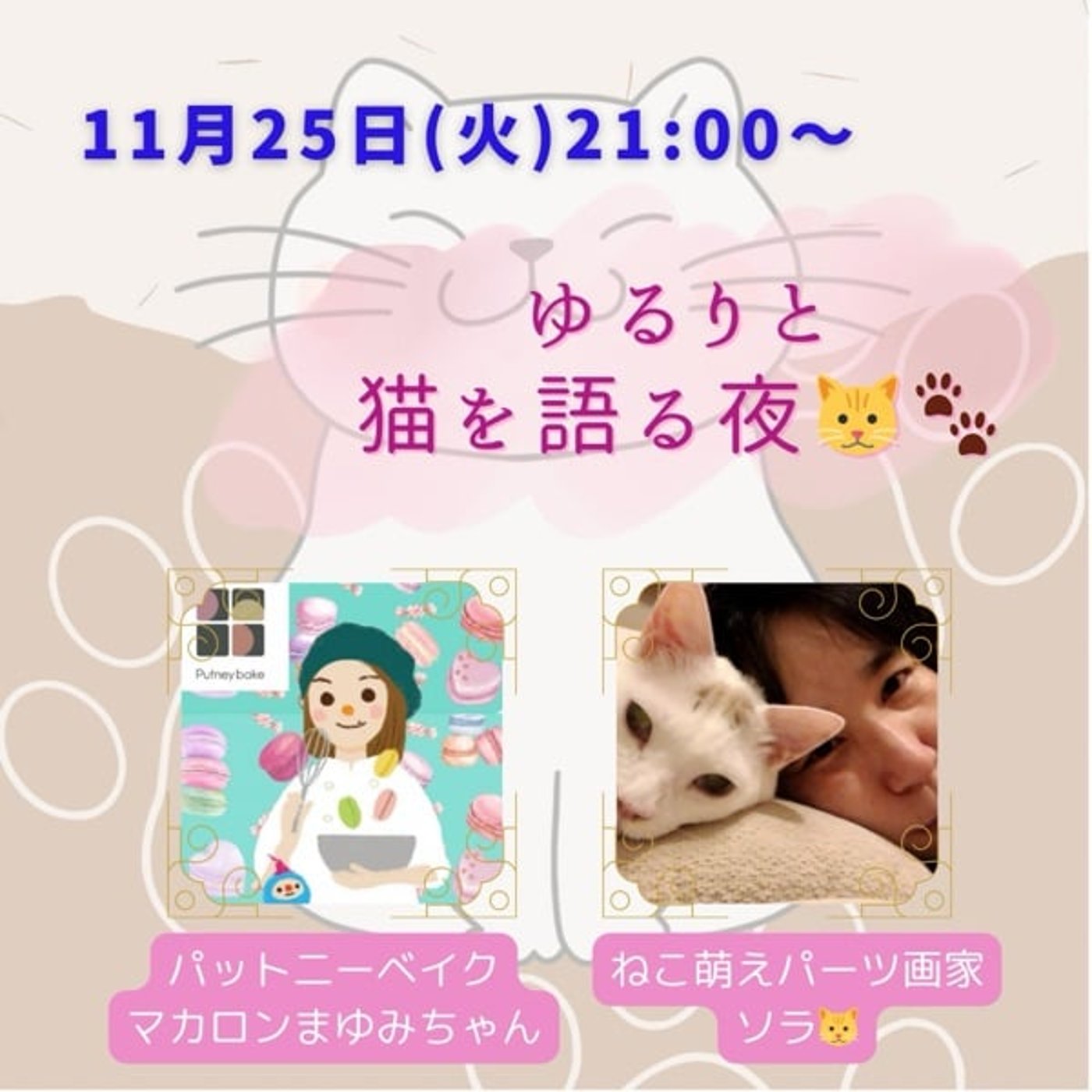 マカロンまゆみちゃんと『ゆるりと猫を語る夜🐱🐾』
