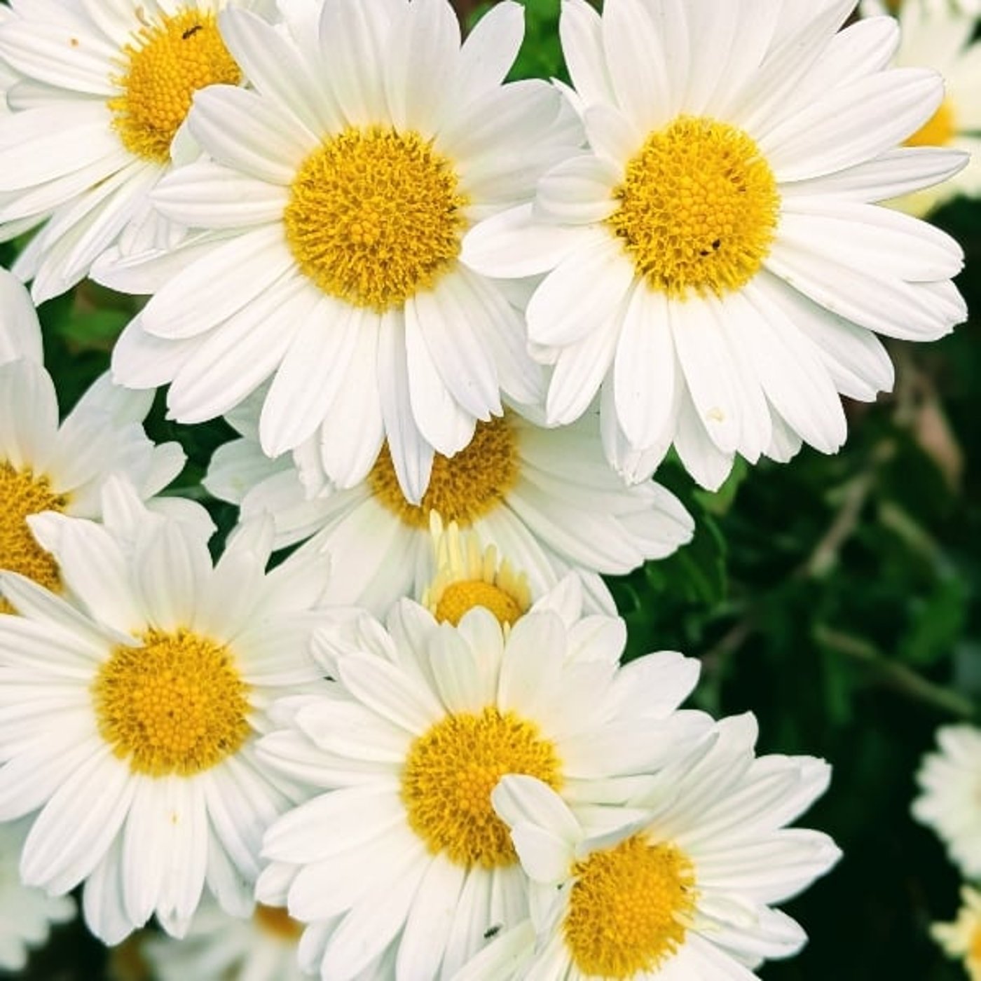 咳と泣き声でイラッ…そんな日もあるさ。 咳と泣き声でイラッ…そんな日もあるさ。