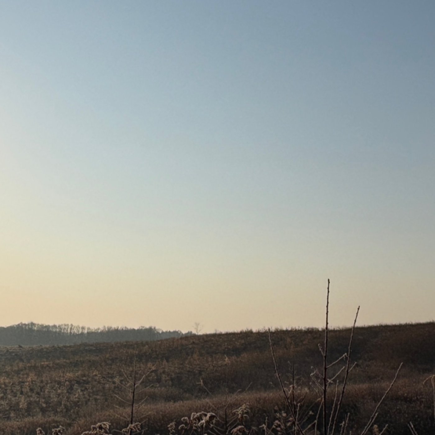 11.28 朝ライブ セゾンと鹿猟 11.28 朝ライブ セゾンと鹿猟