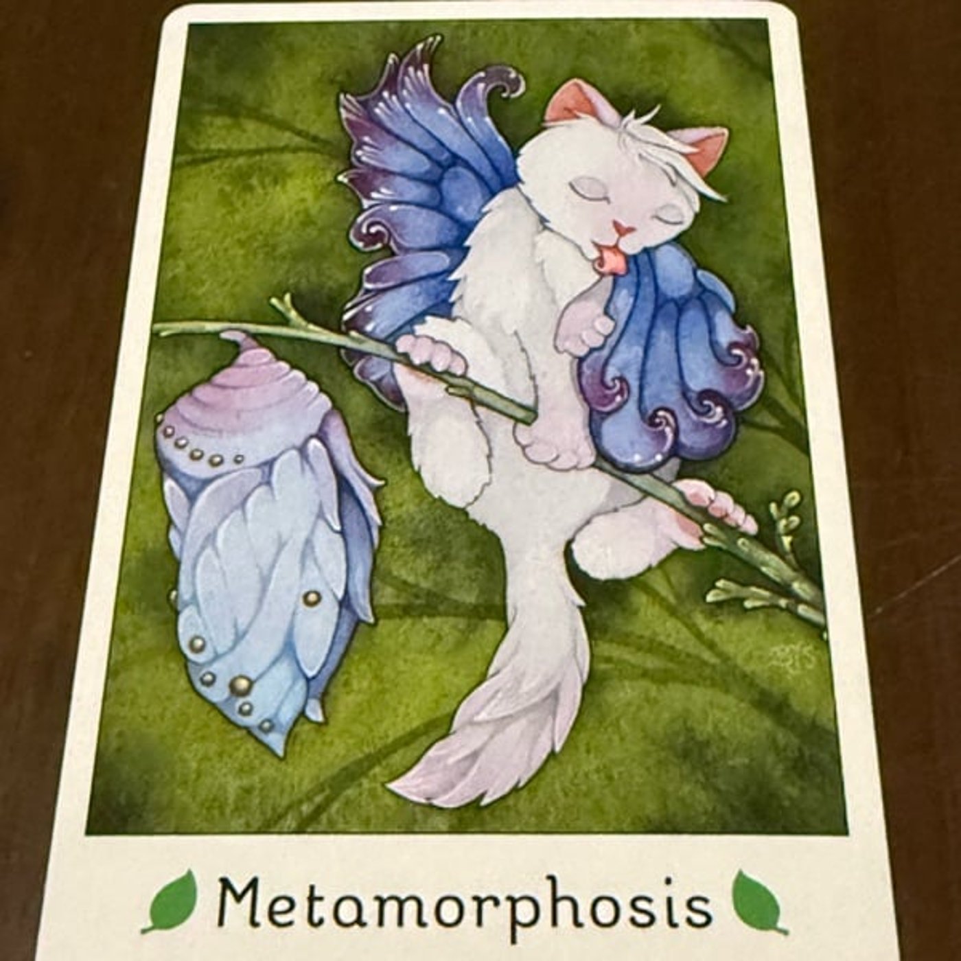 767【猫オラクルカード】12/1〜12/7のメッセージ『著しい変化』 767【猫オラクルカード】12/1〜12/7のメッセージ『著しい変化』