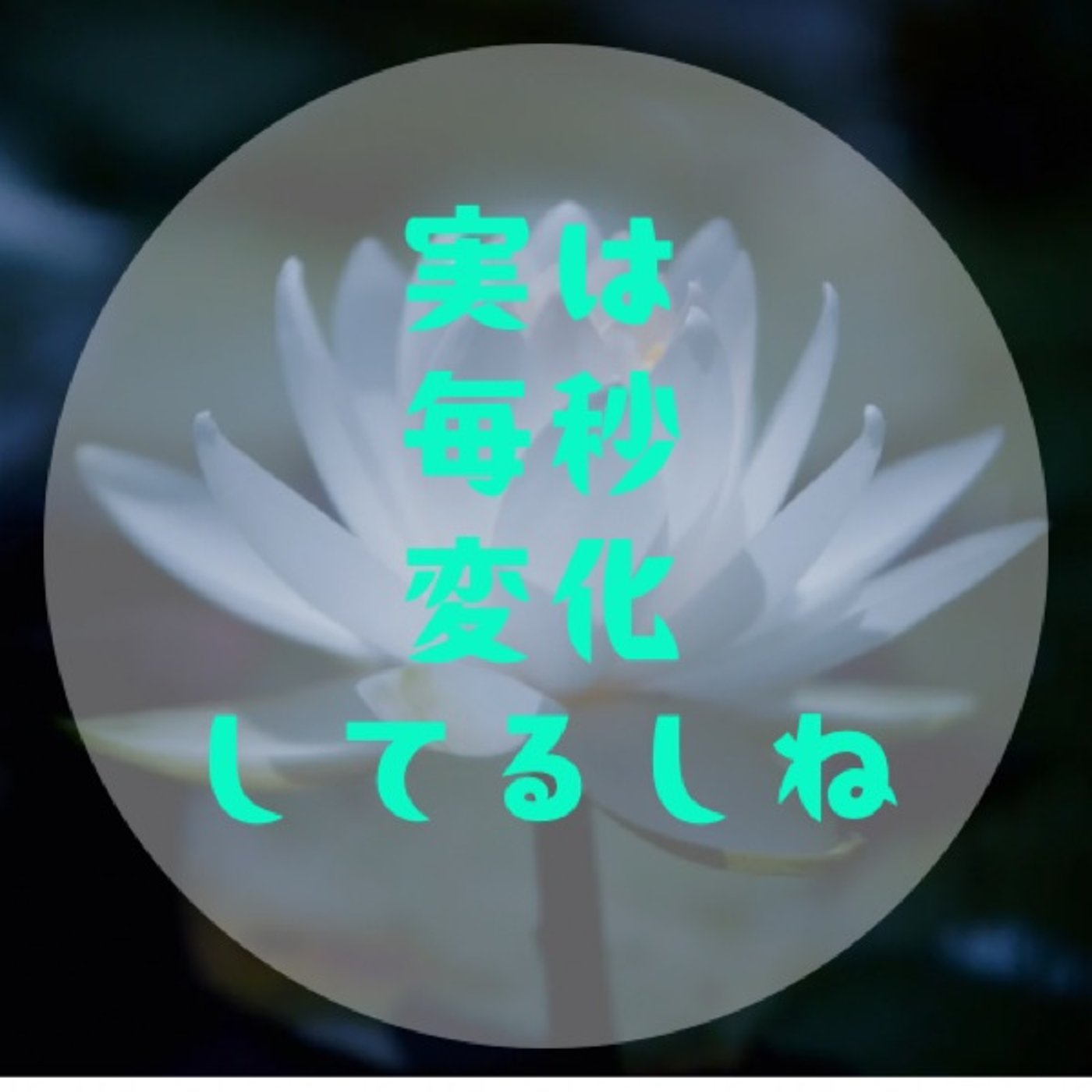 #040 【変化恐い！を乗り越えるには〜膝と向き合って気付いてあげよう〜 episode artwork