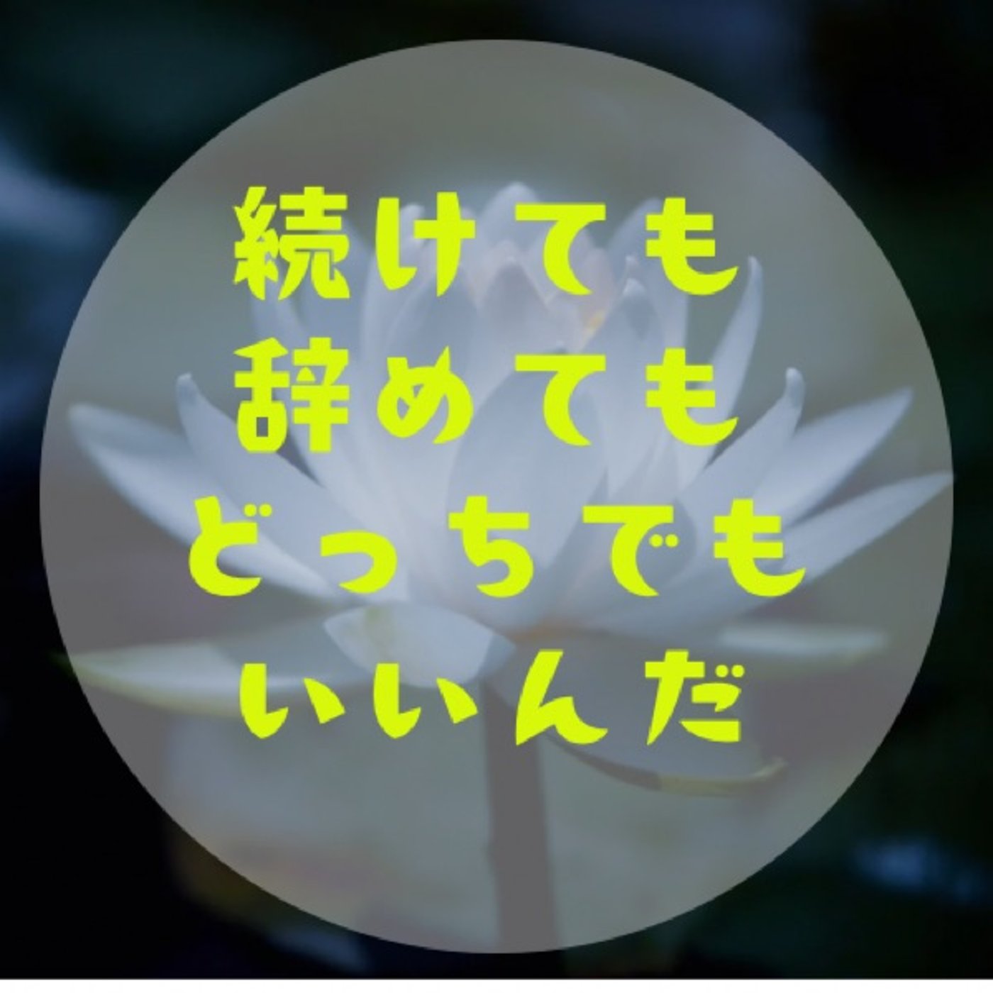 #041 【続け方と辞め方〜全てを自分で選択できる世界にシフトする〜】 episode artwork