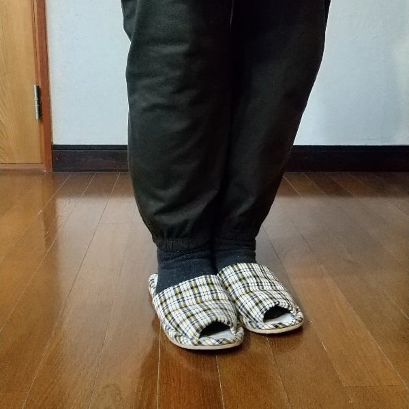 モデルさん251205