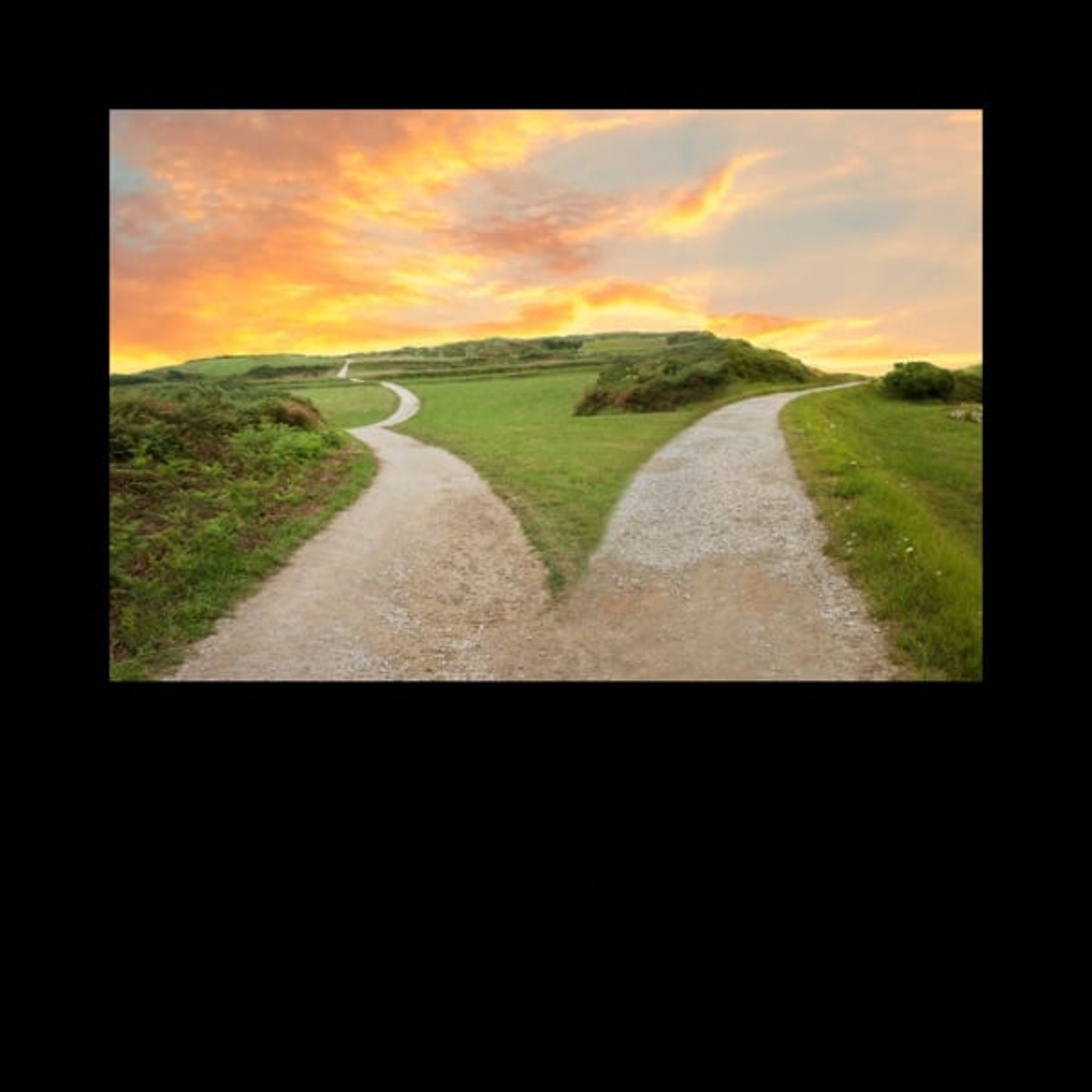 あなたはどの道を選ぶ？