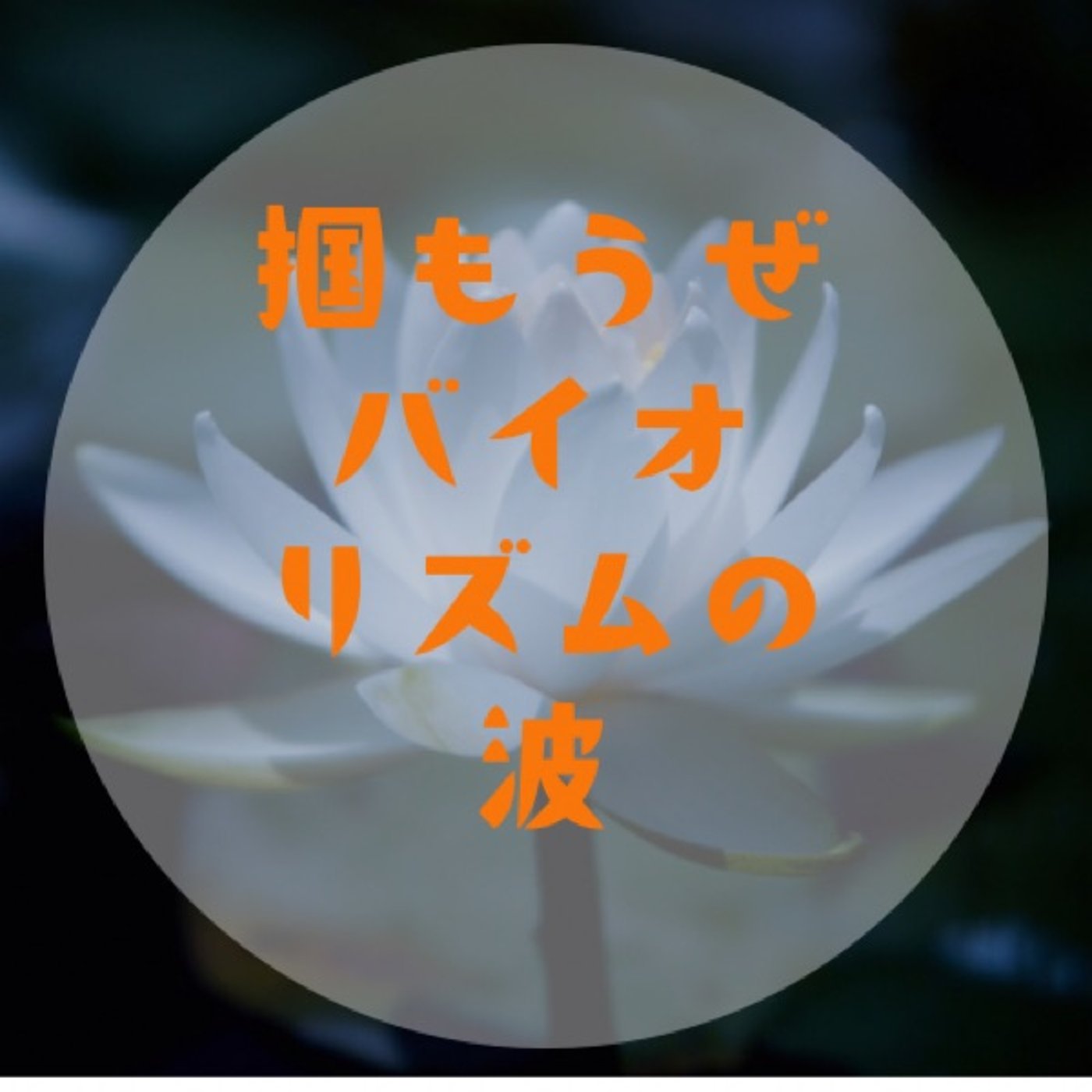 #042 【良いも悪いも受け入れ方次第〜バイオリズムに委ねる〜】 episode artwork