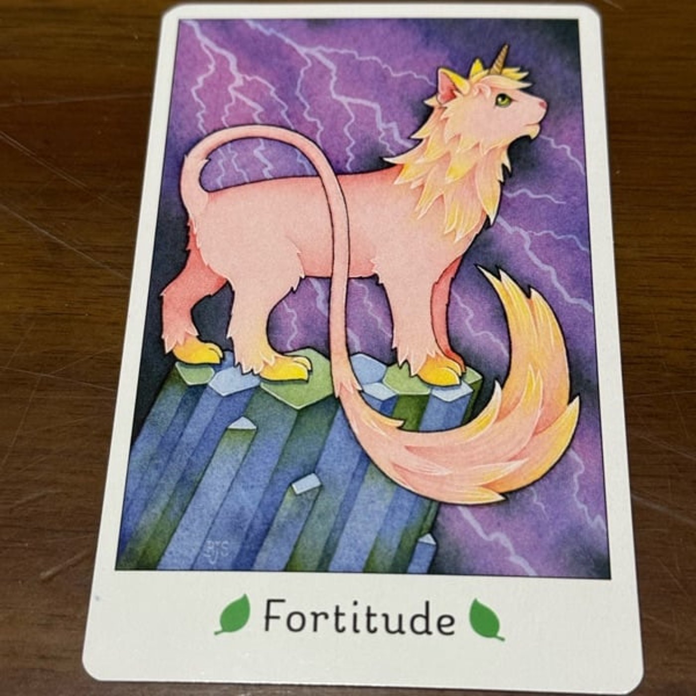 769【猫オラクルカード】12/8〜12/14のメッセージ『不屈の精神』