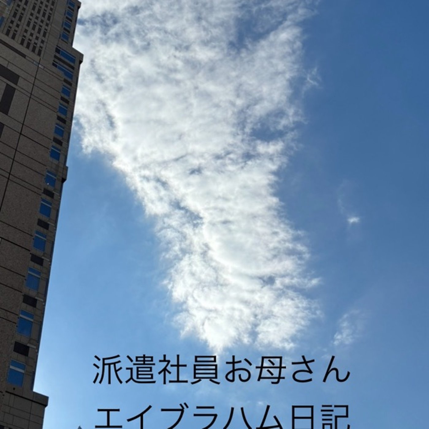 エイブラハム学び中⭐︎ ありのままを受け入れて生きると決めた日 episode artwork