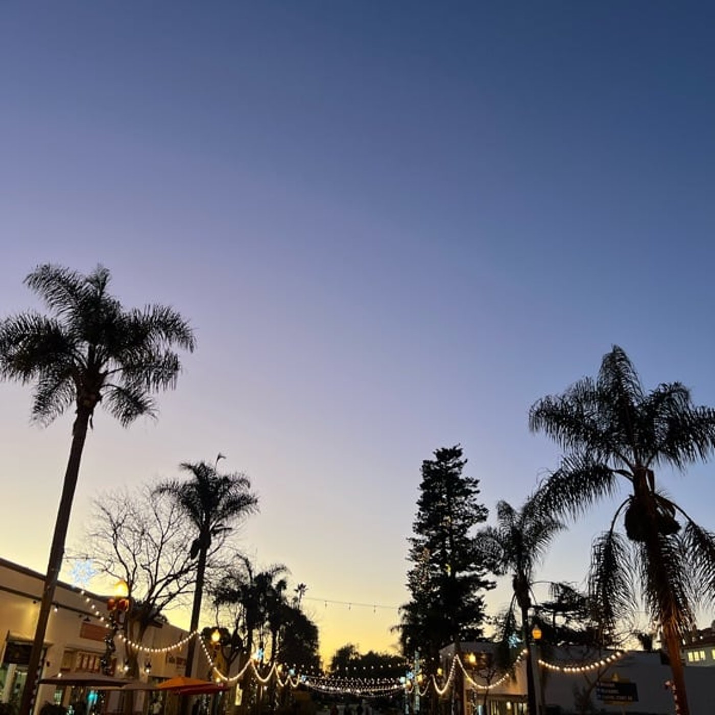 [464] 碧い流れ星に雑談タイム