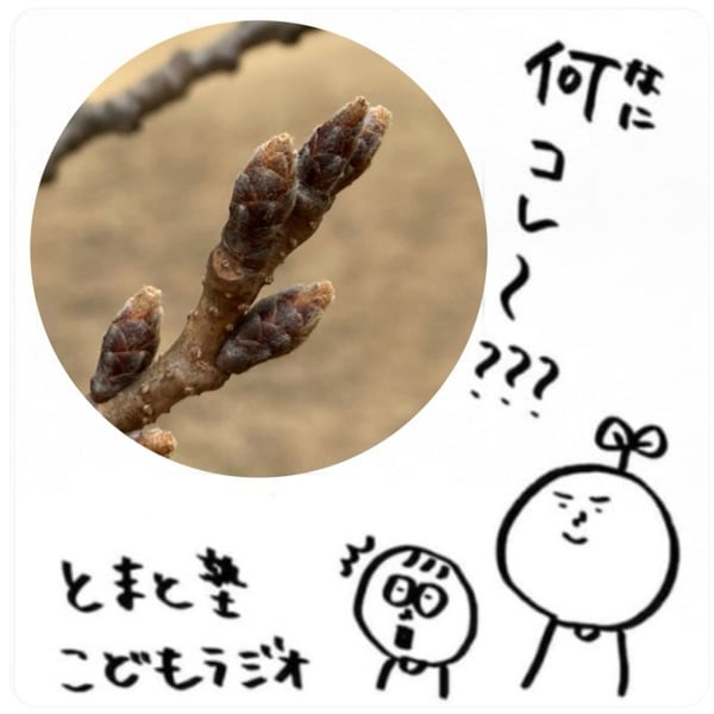 #98 これ、何？【とまと塾こどもラジオ】