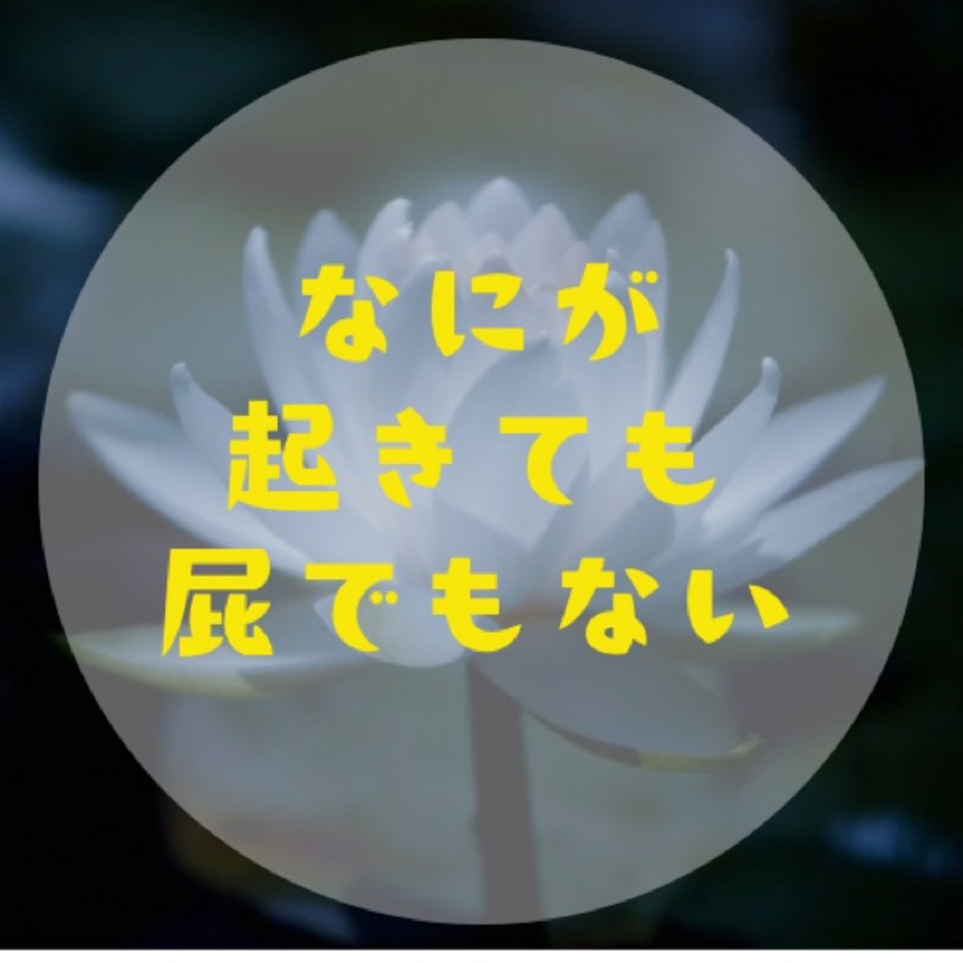 #044 【あなたのせいではない〜「責任」を降ろして「変容」にしていく〜 episode artwork