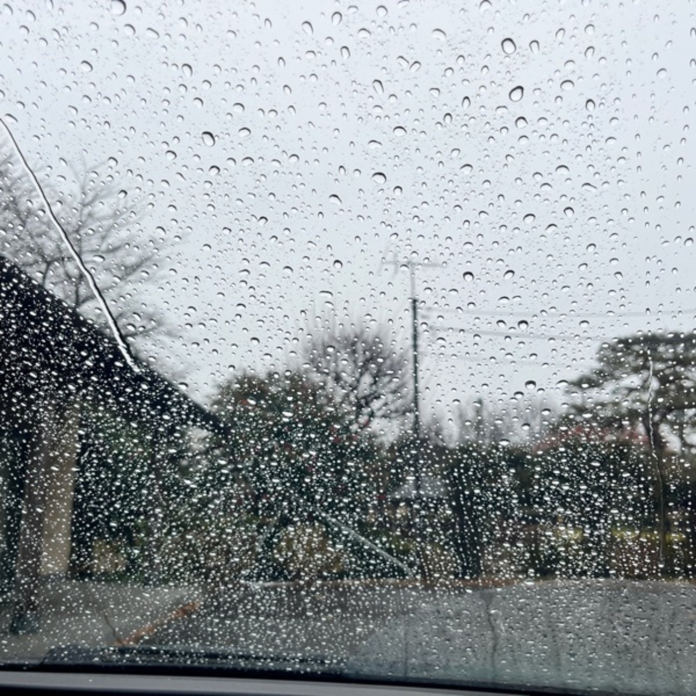 #581 久しぶりのまとまった雨畑もだいぶ湿り気が入ったようです episode artwork