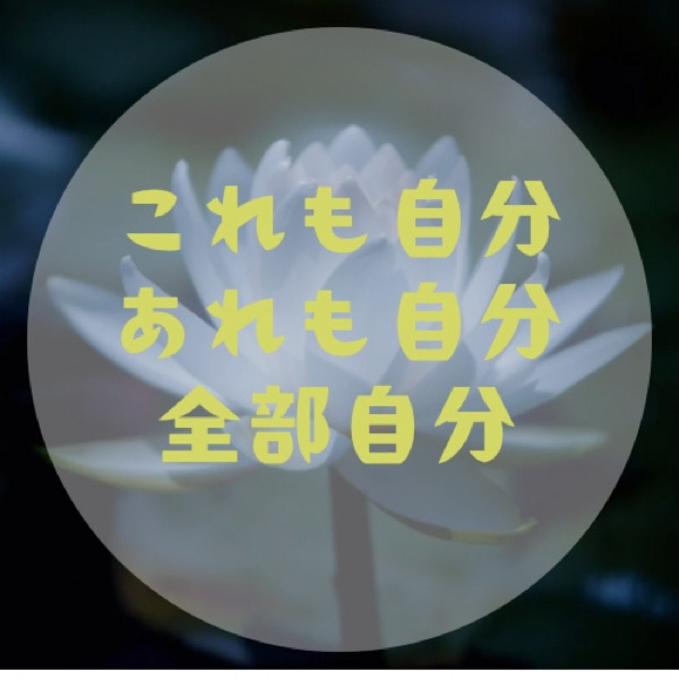 #046 【許せない！を許す方法〜自分の心身の対極を知る〜】 episode artwork