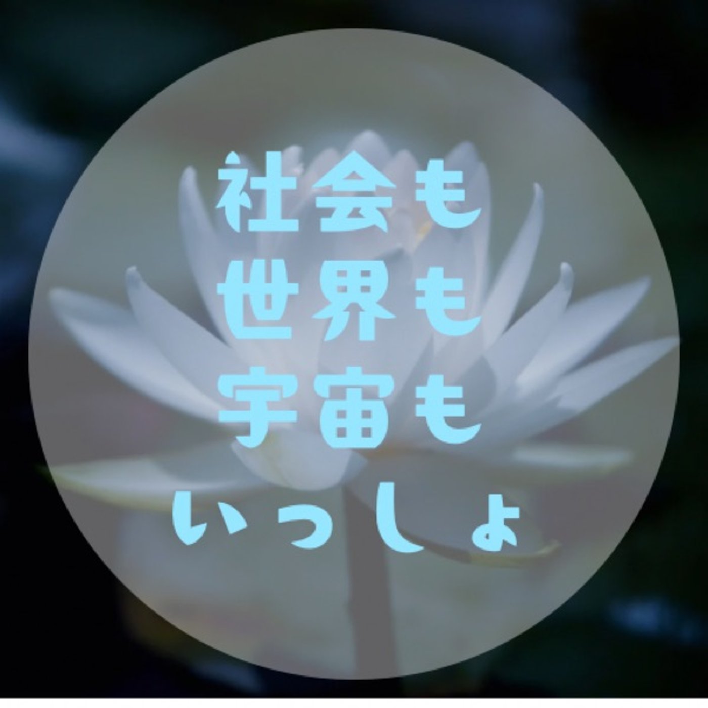 #047 【社会に馴染めない感覚があるとき〜それは内？外？どっちの概念？】 episode artwork