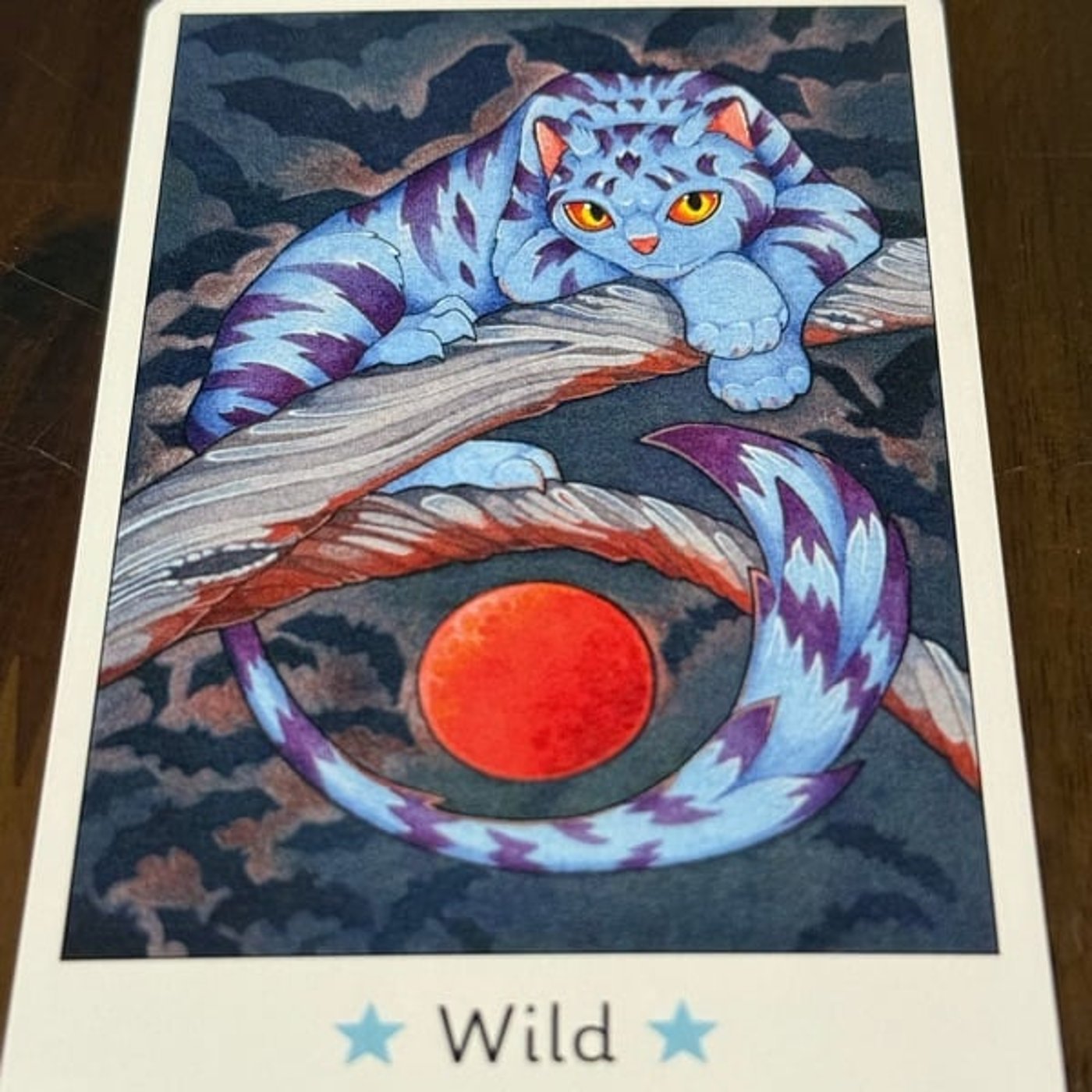 773【猫オラクルカード】12/22〜12/28のメッセージ『野生』