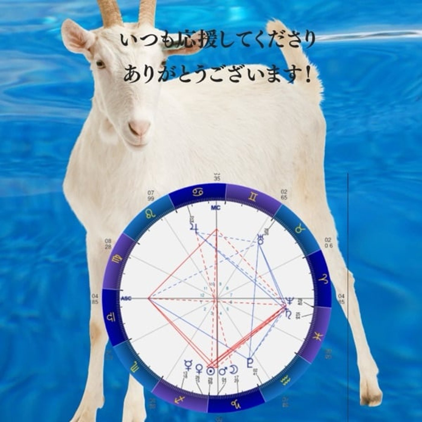 冬至ライブ〜今年の漢字は何ですか? 冬至ライブ〜今年の漢字は何ですか?