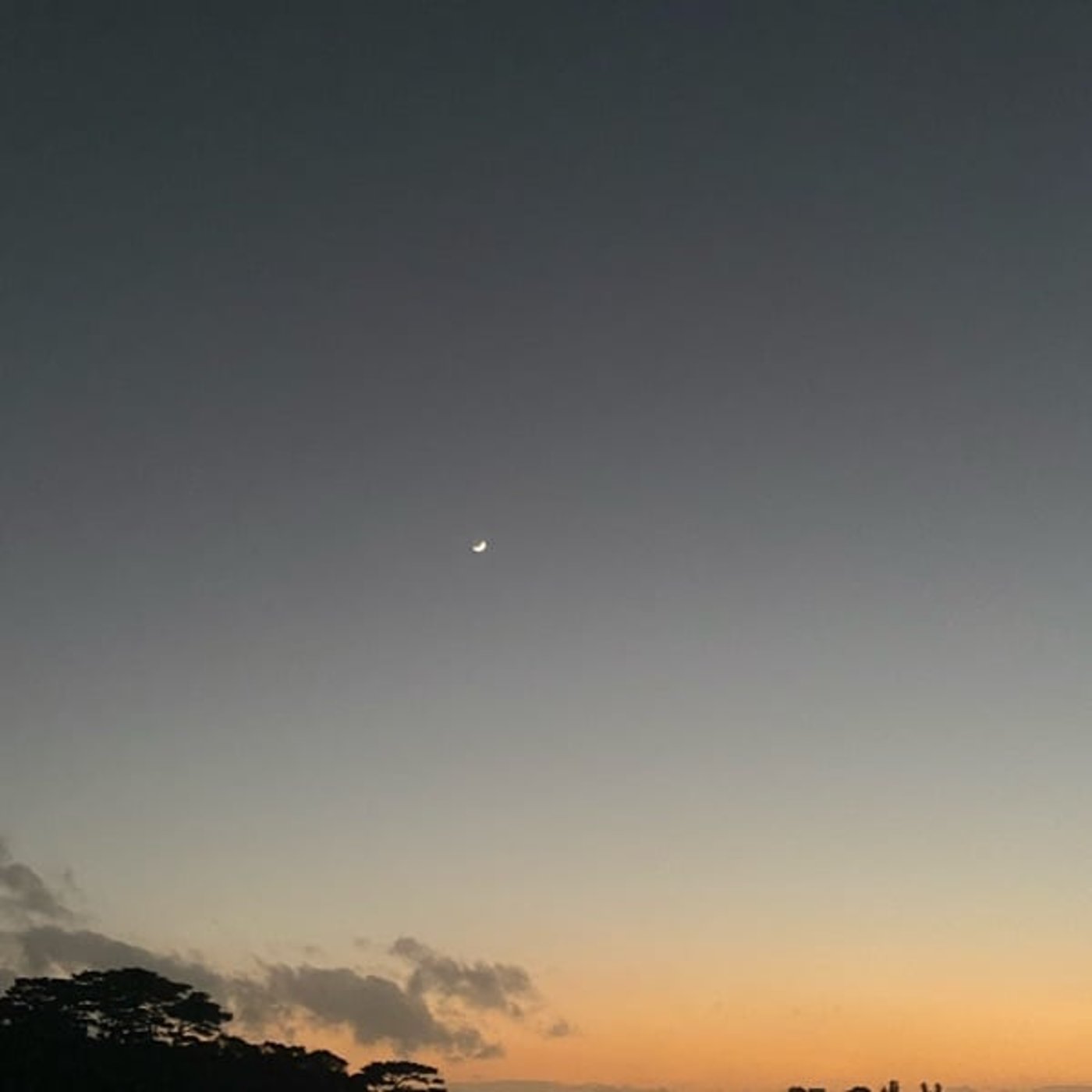 #789　心を整えるヒーリングピアノ 雑談ライブ/成長の三角形