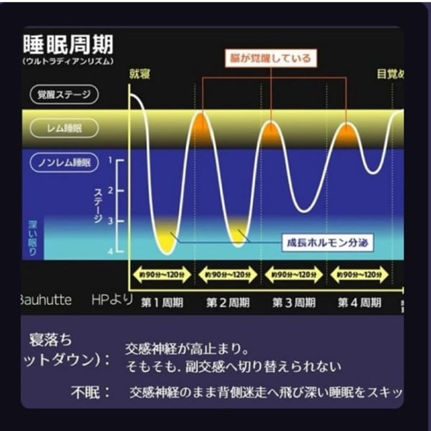 睡眠の波について〜深い波(徐波)と潜る波(睡眠潜時)〜