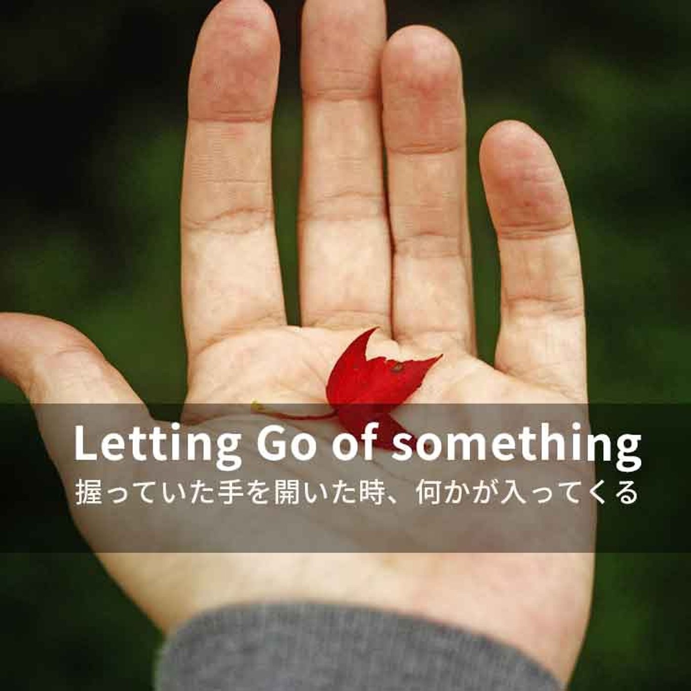 【Comfort Life #4】【捨てること】で過去を手放し、新しい自分になる episode artwork
