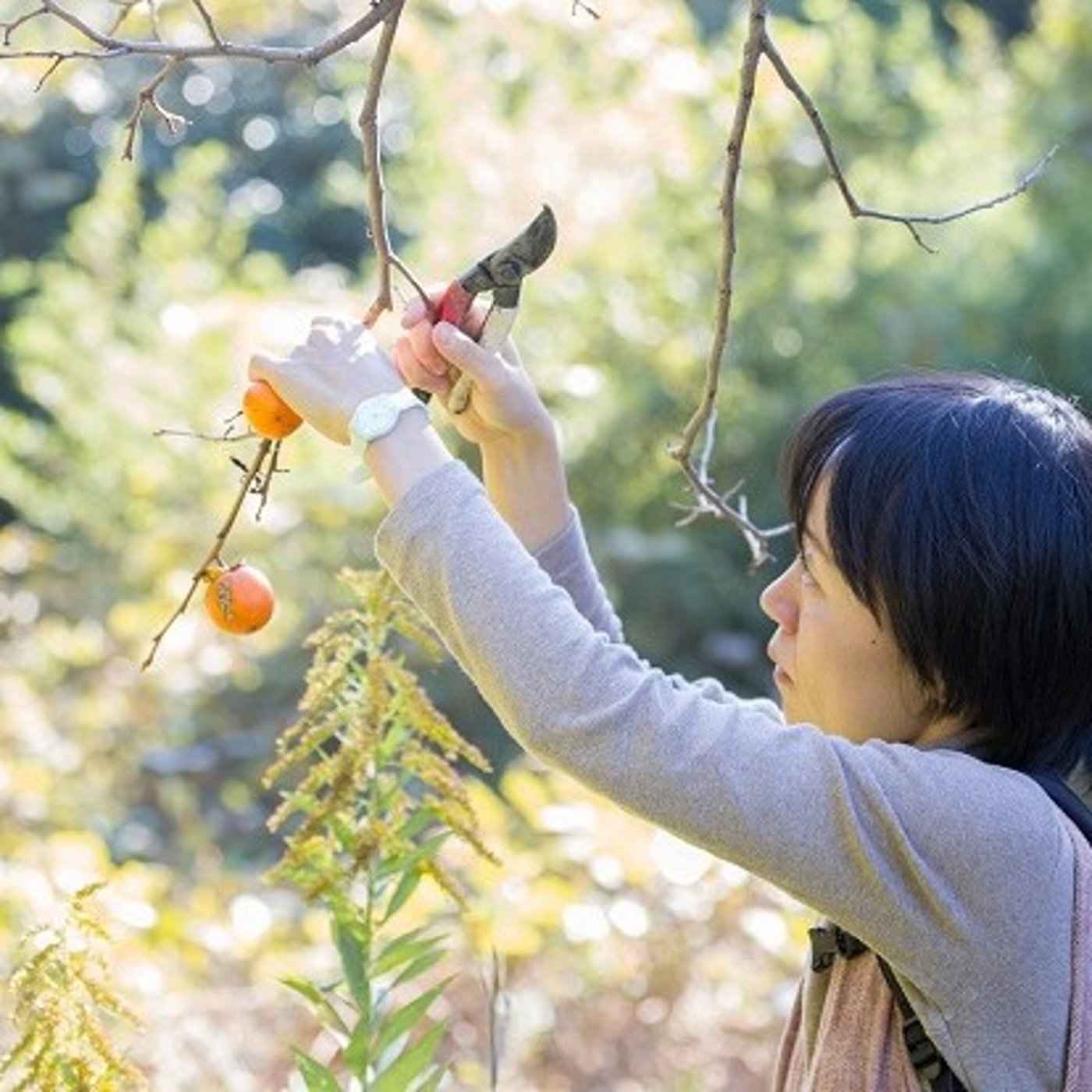 #071 “死ぬ瞬間の5つの後悔”と、いまを生きる