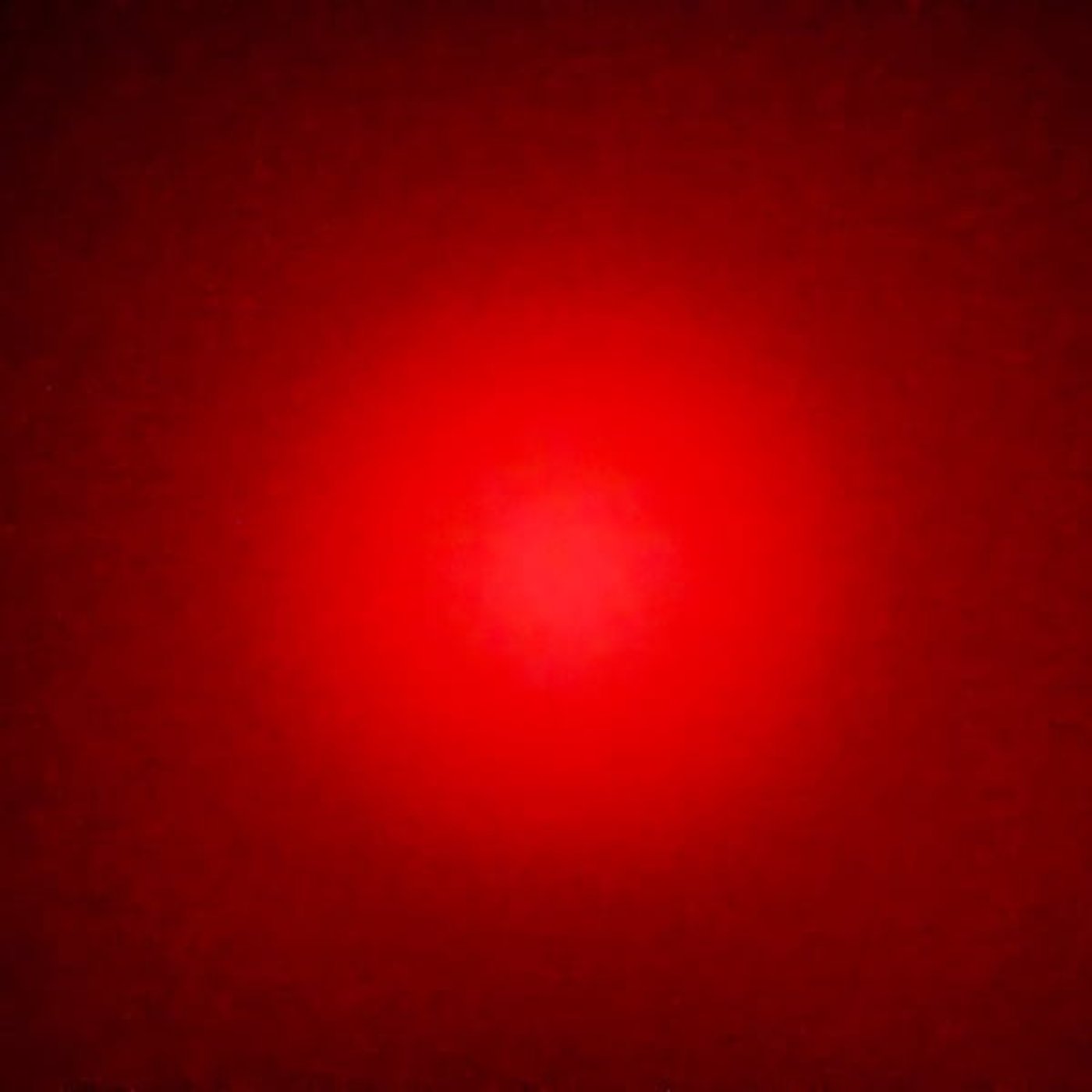 #025  今年最後のジンジャー参り！最後に相応しいゆるスピ体験してきたでぇ！