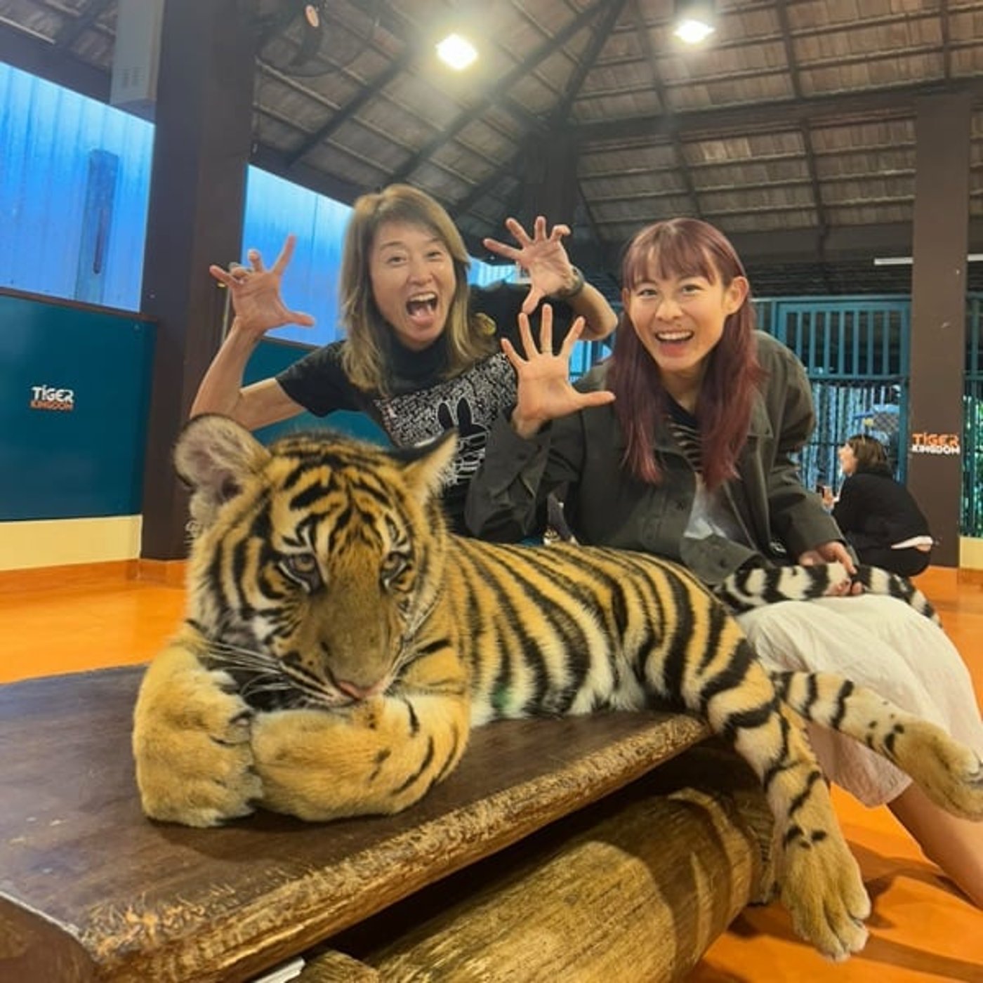 #140 華麗なるトレラン一族！板橋美紀さん黎華さんの2025年振り返り！後編