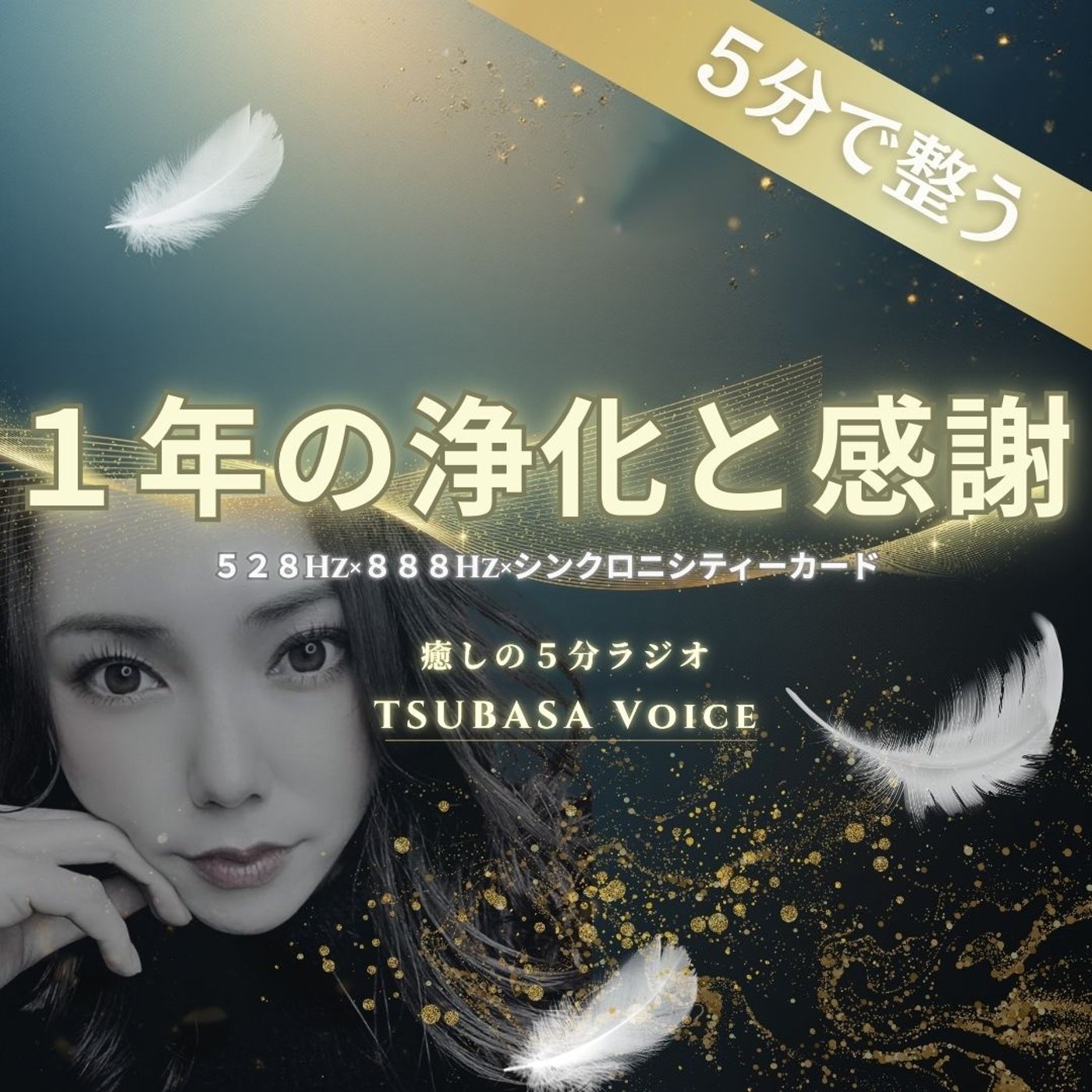 聴くだけで全浄化。一年分の感謝を宇宙へ届ける5分｜528Hz×888Hz episode artwork