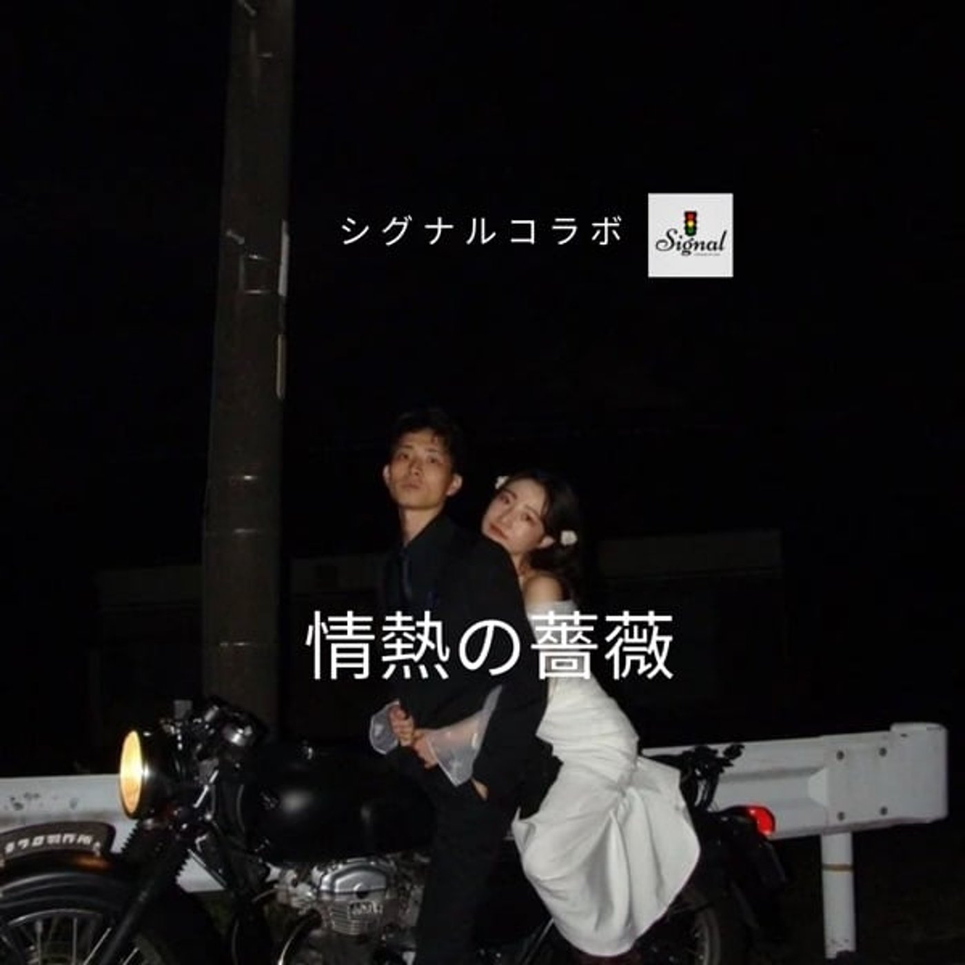 情　熱　の　薔　薇　　シ グ ナ ル コ ラ ボ