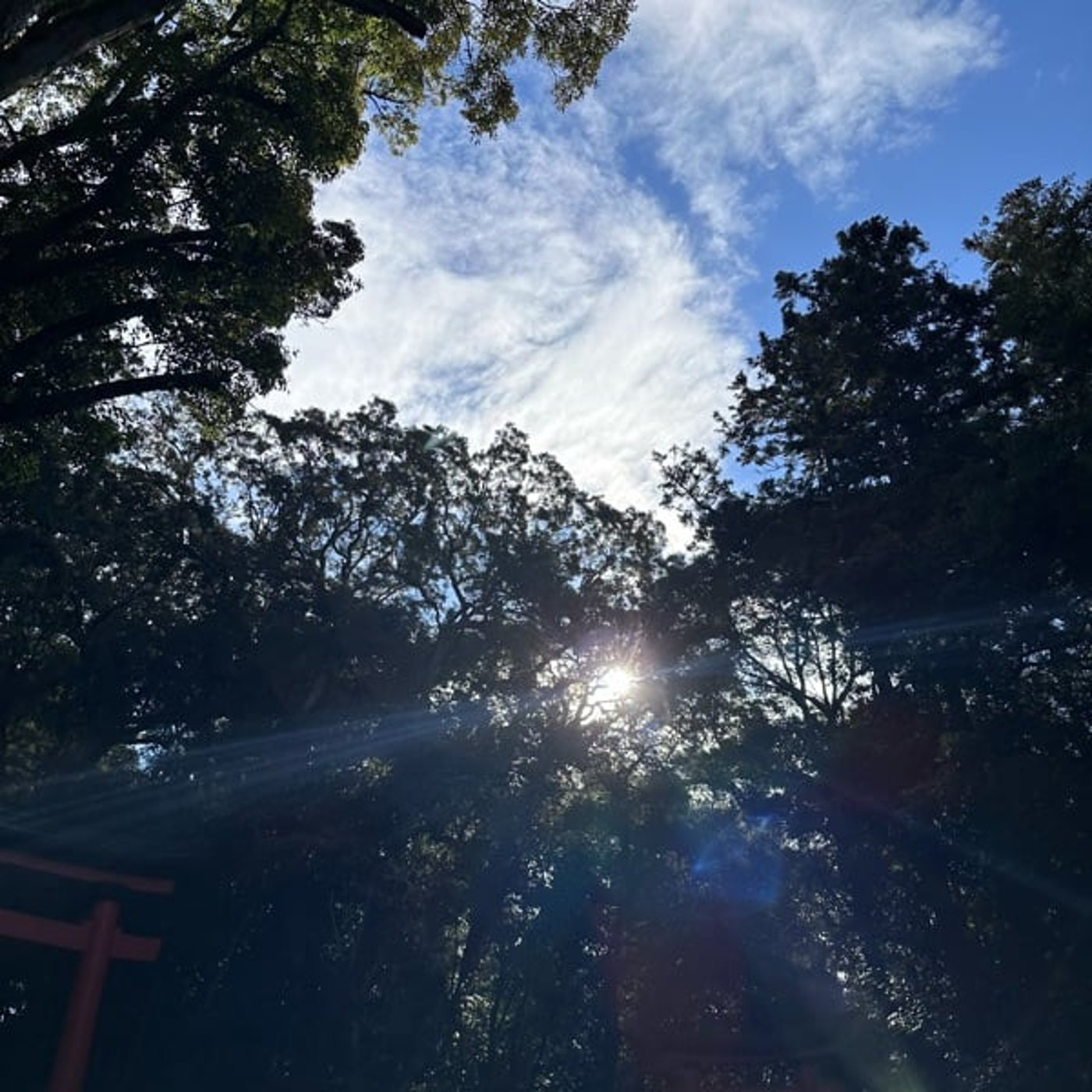 赦しという浄化