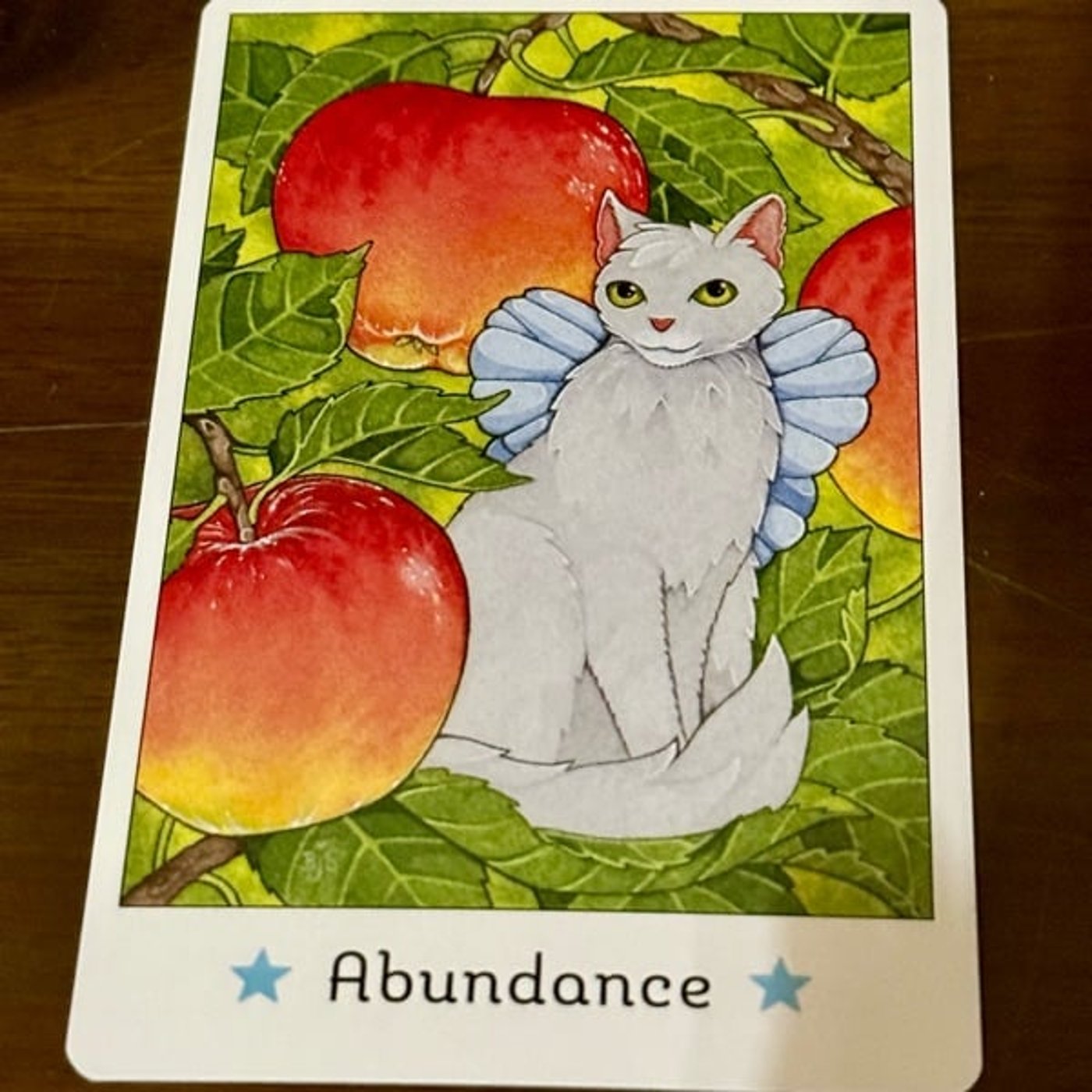 780【猫オラクルカード】1/5〜1/11のメッセージ『豊かさ』