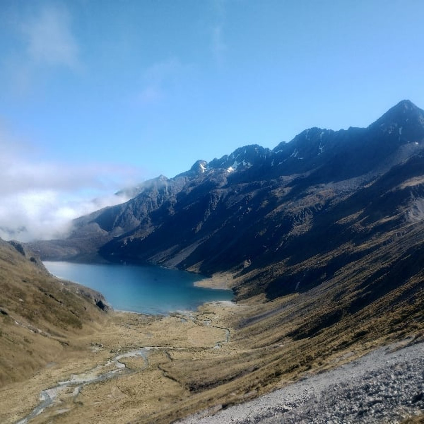 テ・アラロア3ヶ月経過！明けましておめでとうございます。