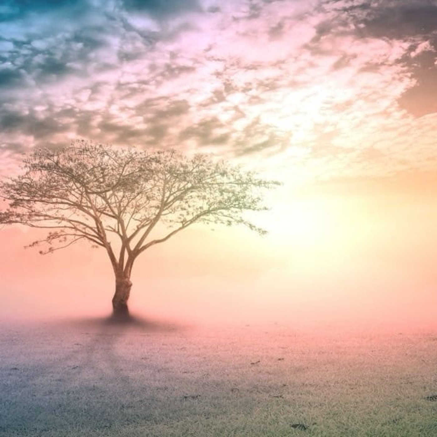 #795　心を整えるヒーリングピアノ　人として生きることの幸せ