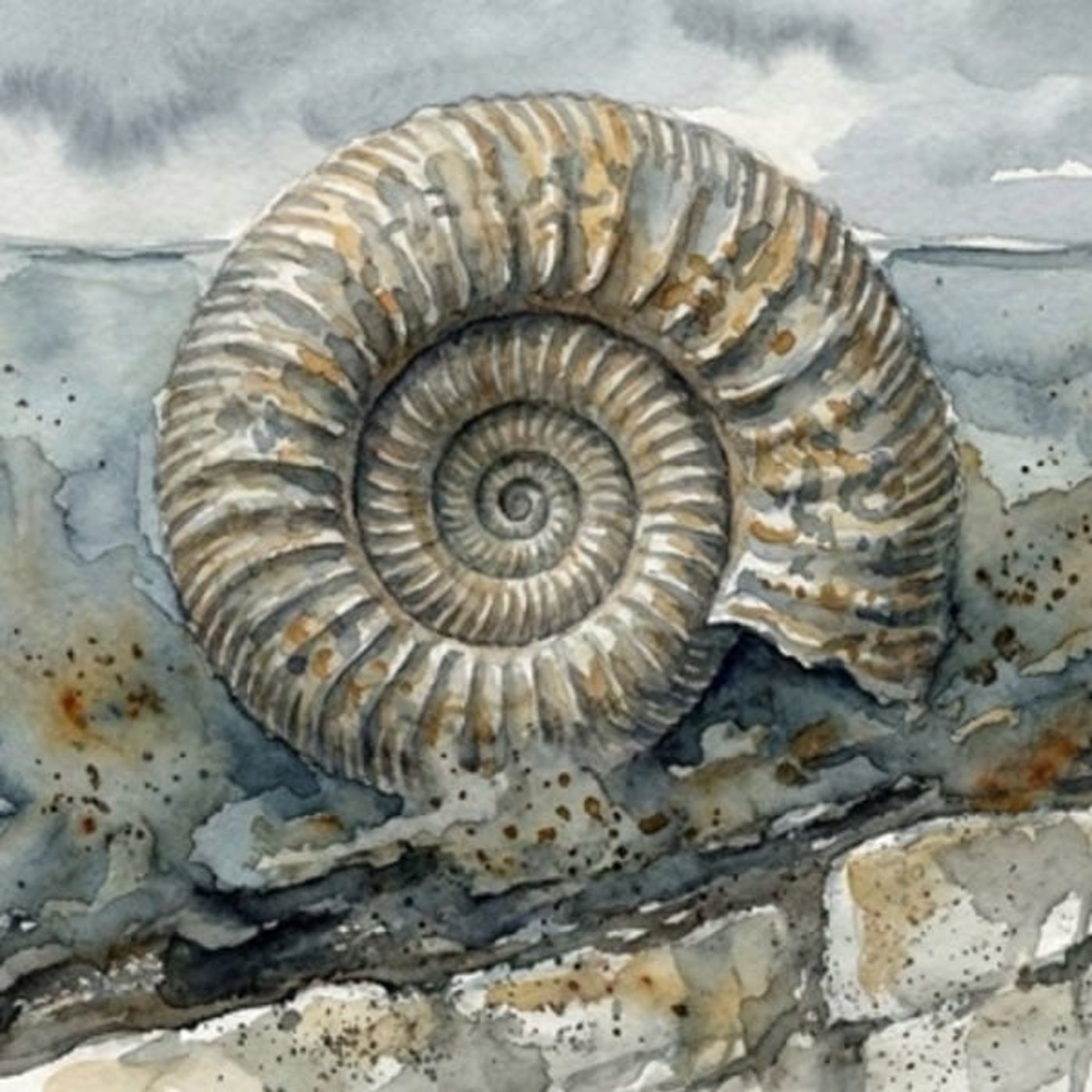 終わりは、いつ終わるのか―境界線の上で見つかった、アンモナイトの短い余命