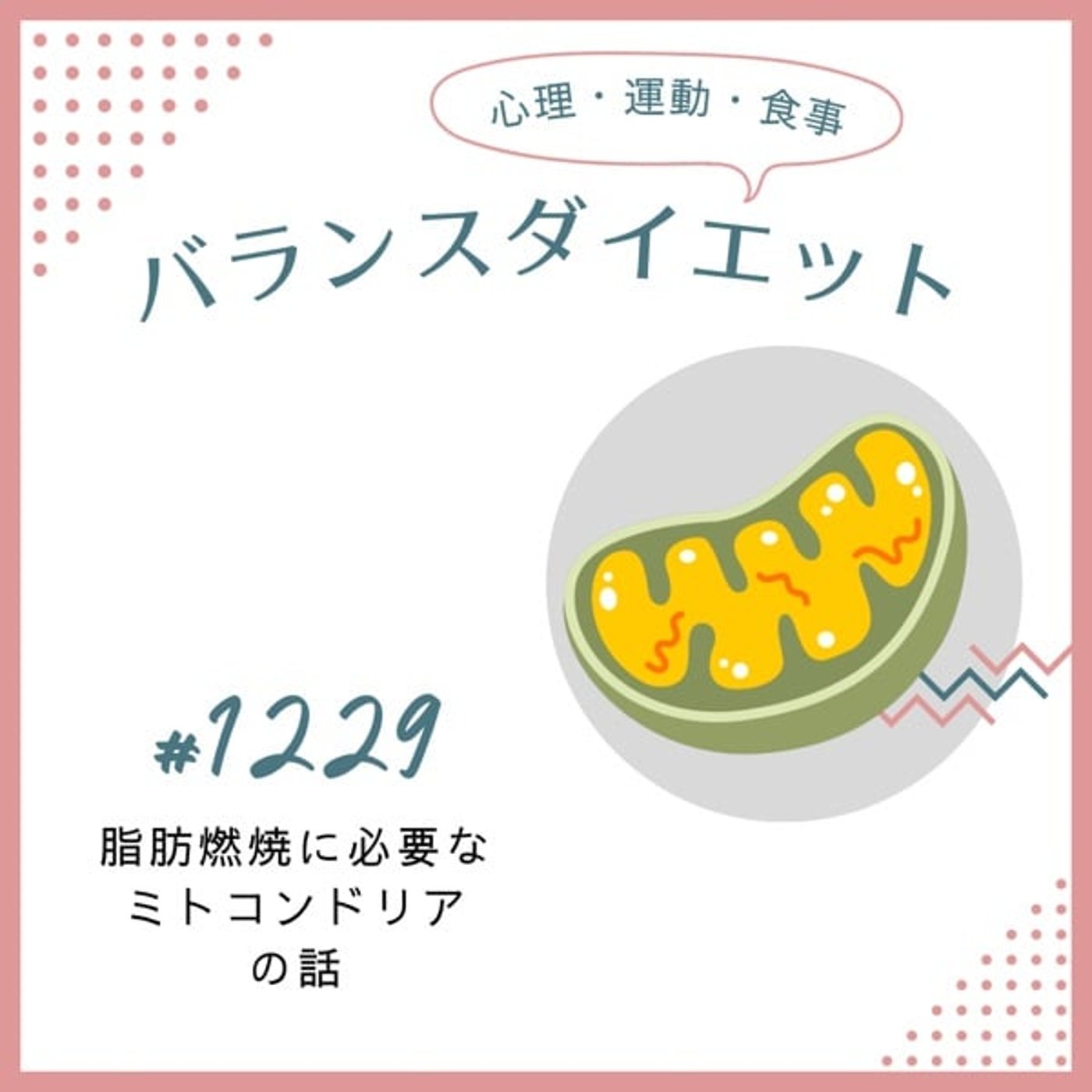 #1229脂肪燃焼に必要なミトコンドリアの話 #1229脂肪燃焼に必要なミトコンドリアの話